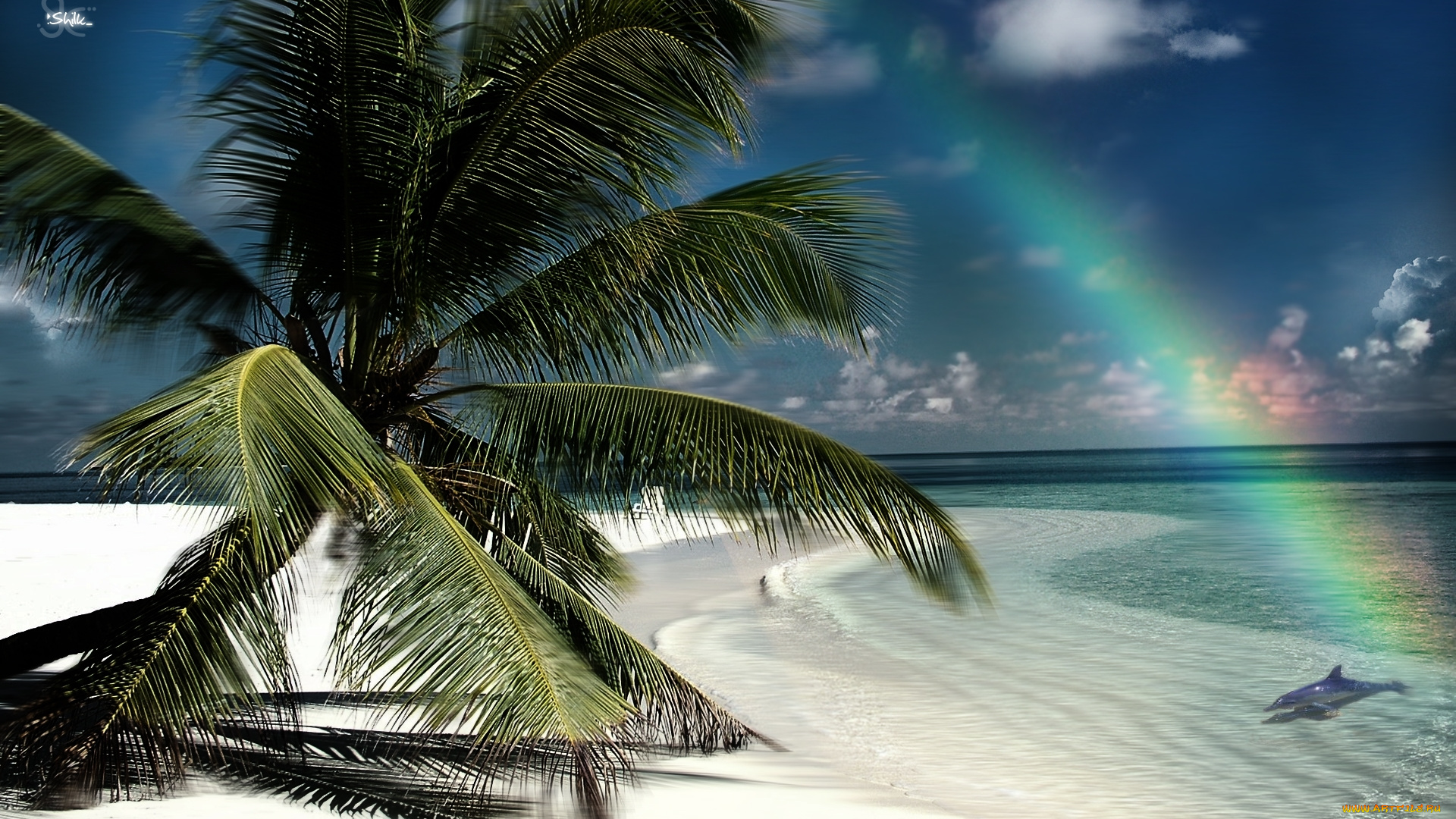 природа, радуга, тропики, остров, пляж, еальмы