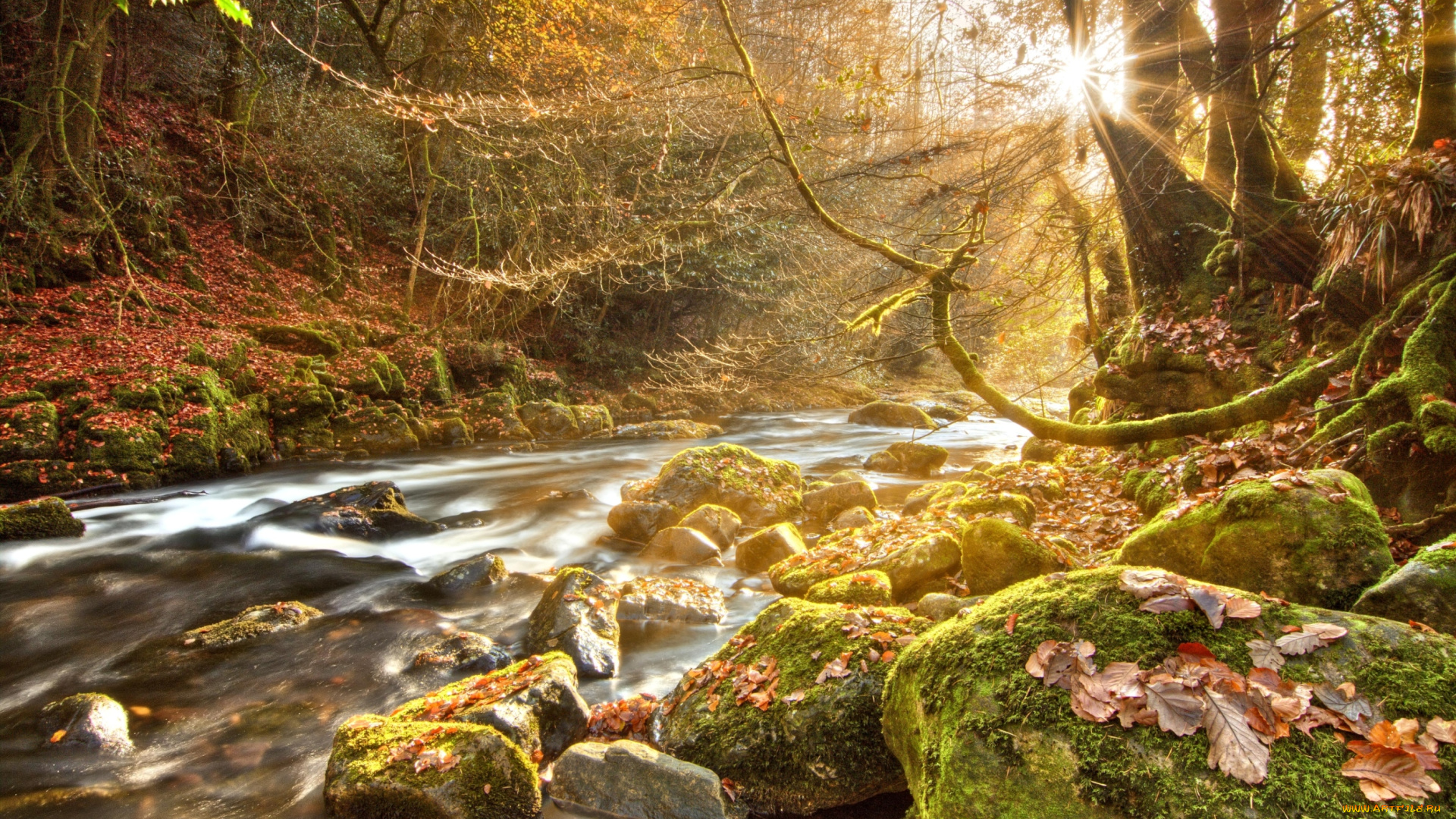 природа, реки, озера, осень, свет, солнце, камни, вода