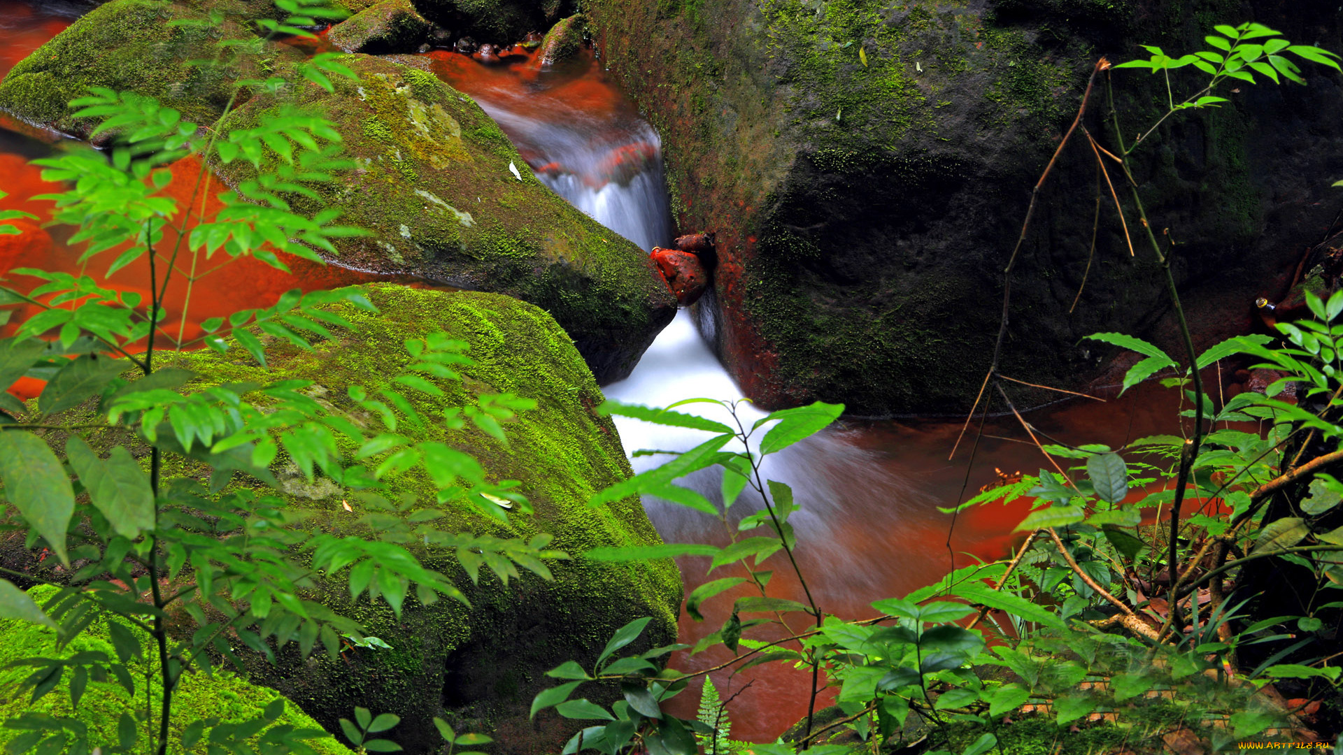 природа, реки, озера, ручей, мох, камни