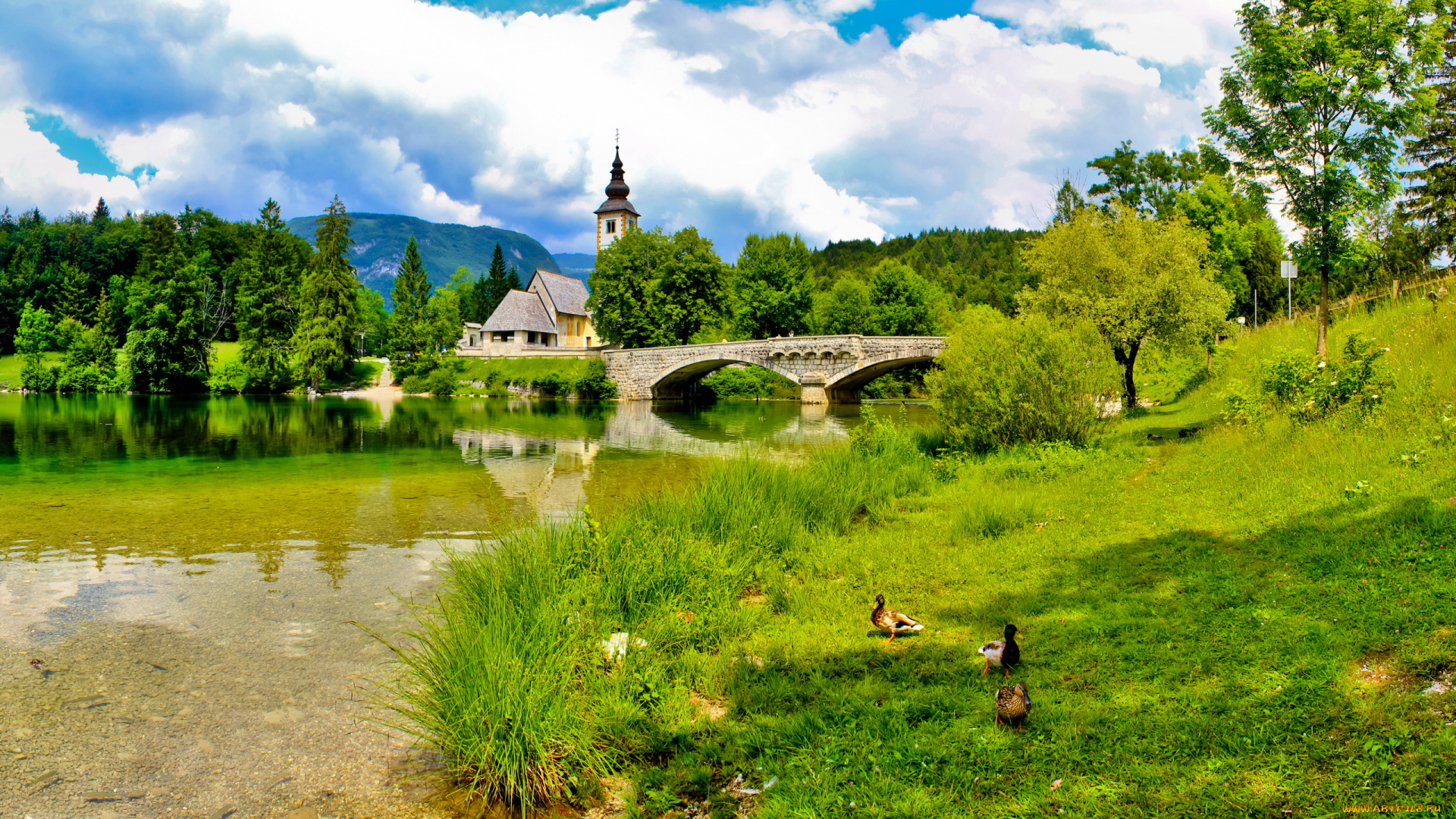 словения, bohinj, природа, пейзажи, река, мост