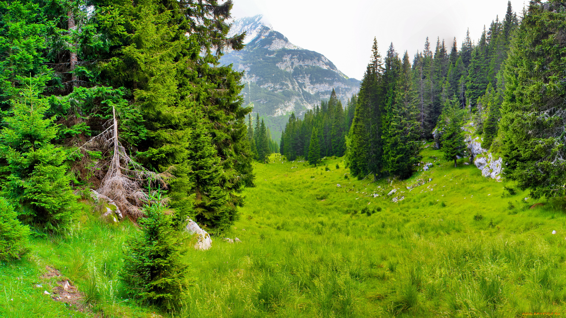 словения, kobarid, природа, пейзажи, горы, лес, тропинка