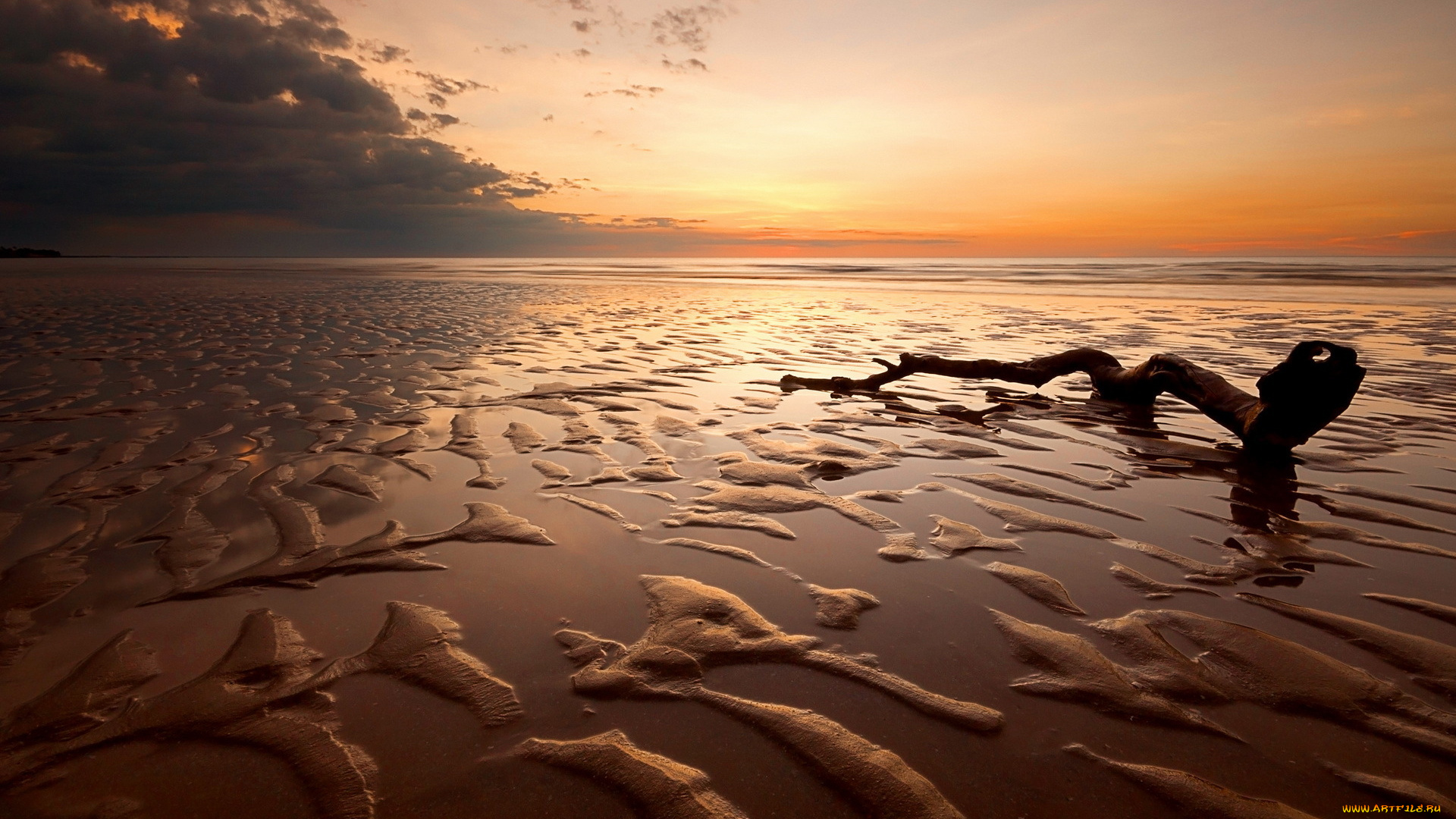 sunset, природа, побережье, море, сумерки, закат, отлив