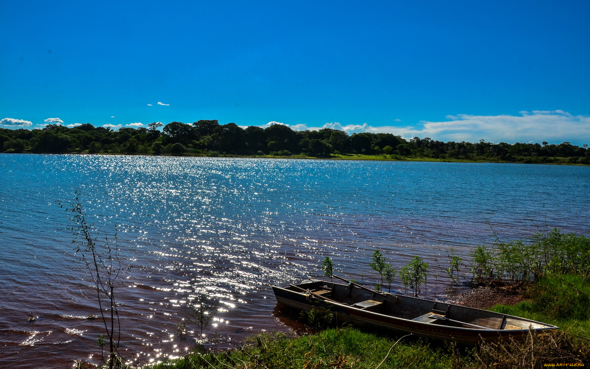 бразилия, сан, паулу, природа, реки, озера, река, сан-паулу