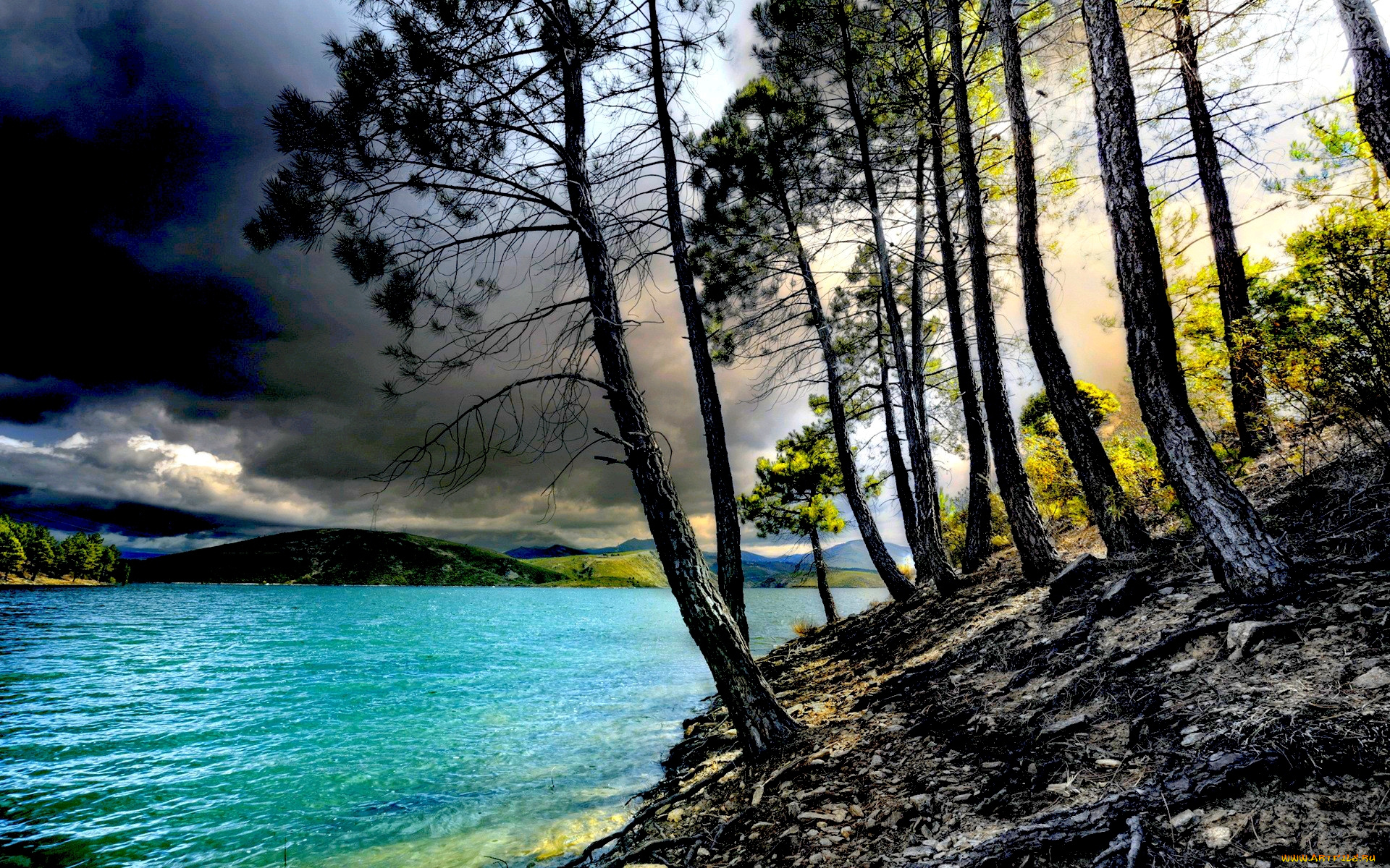 gloomy, day, at, lake, природа, реки, озера, озеро, берег, деревья