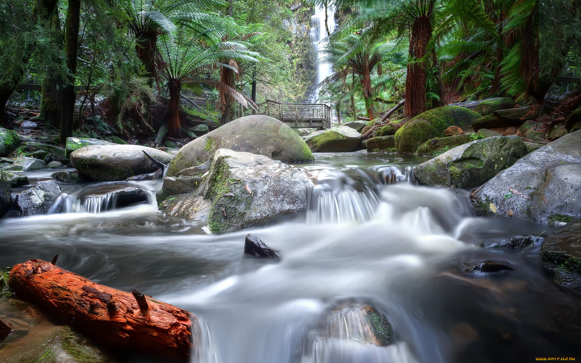 природа, реки, озера, река, мост