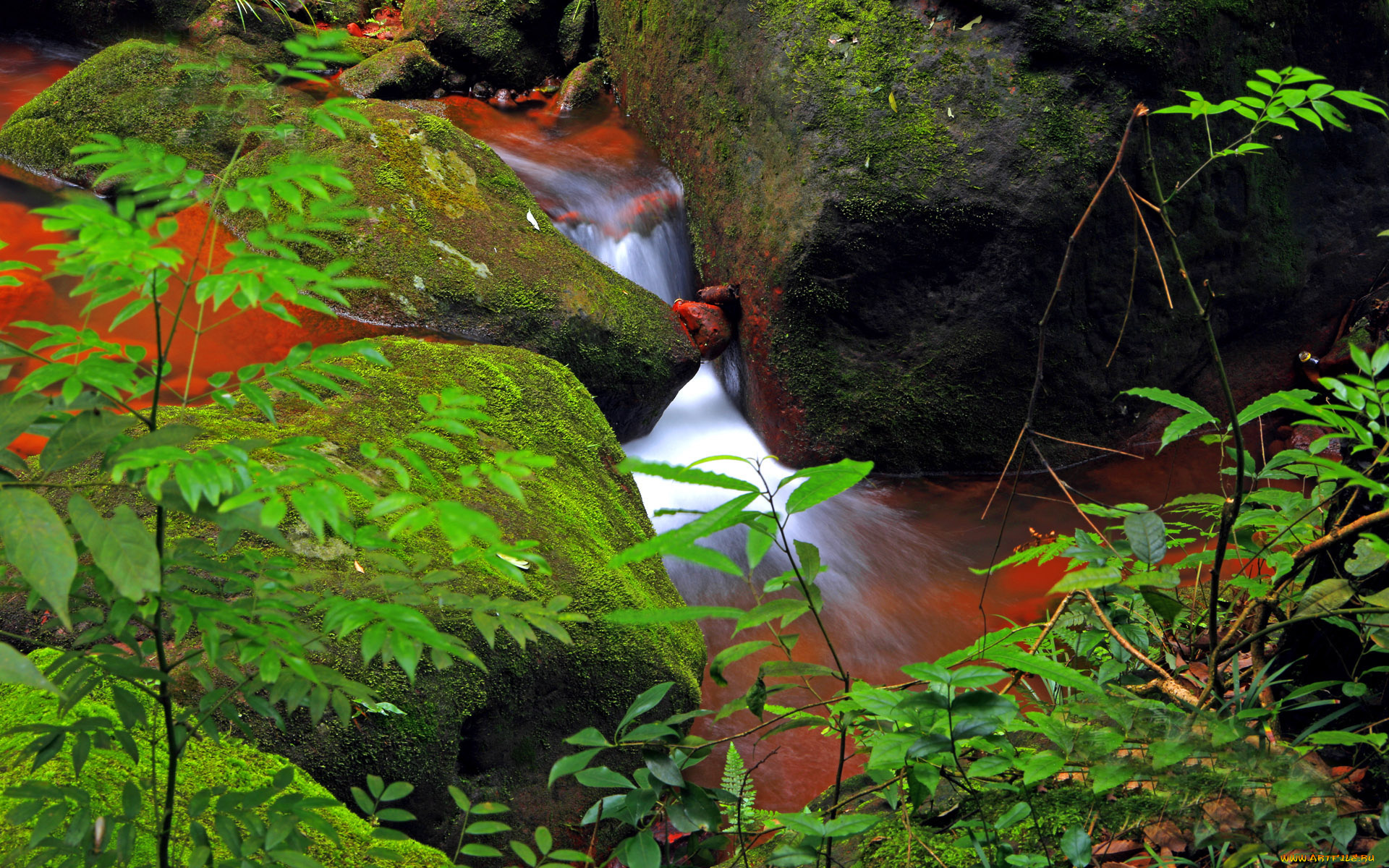 природа, реки, озера, ручей, мох, камни