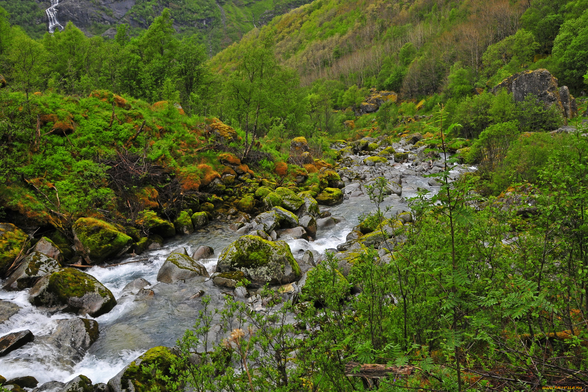 норвегия, briksdalsbre, jostedalsbreen, nacional, park, природа, реки, озера, растения, водопад