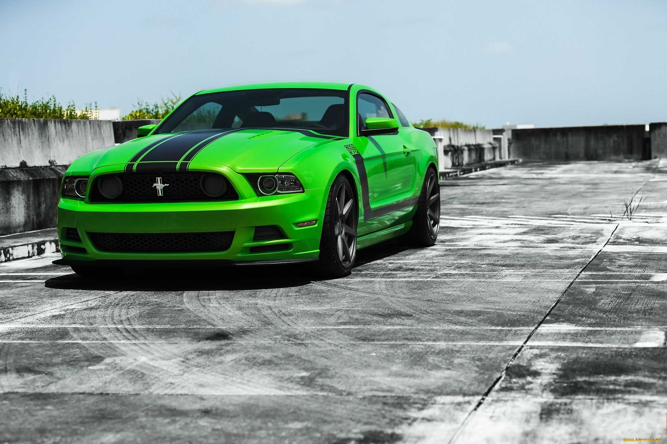 автомобили, mustang, форд, мустанг, зеленый