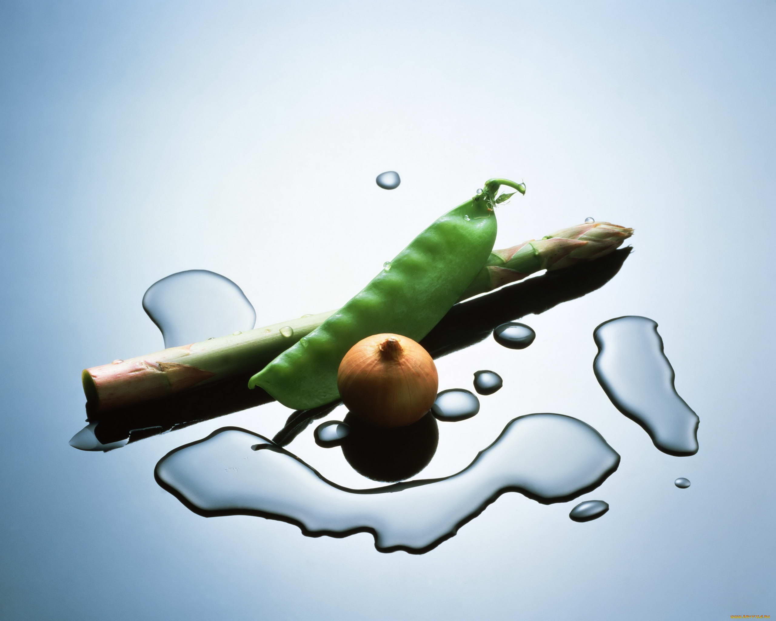 еда, овощи, лук