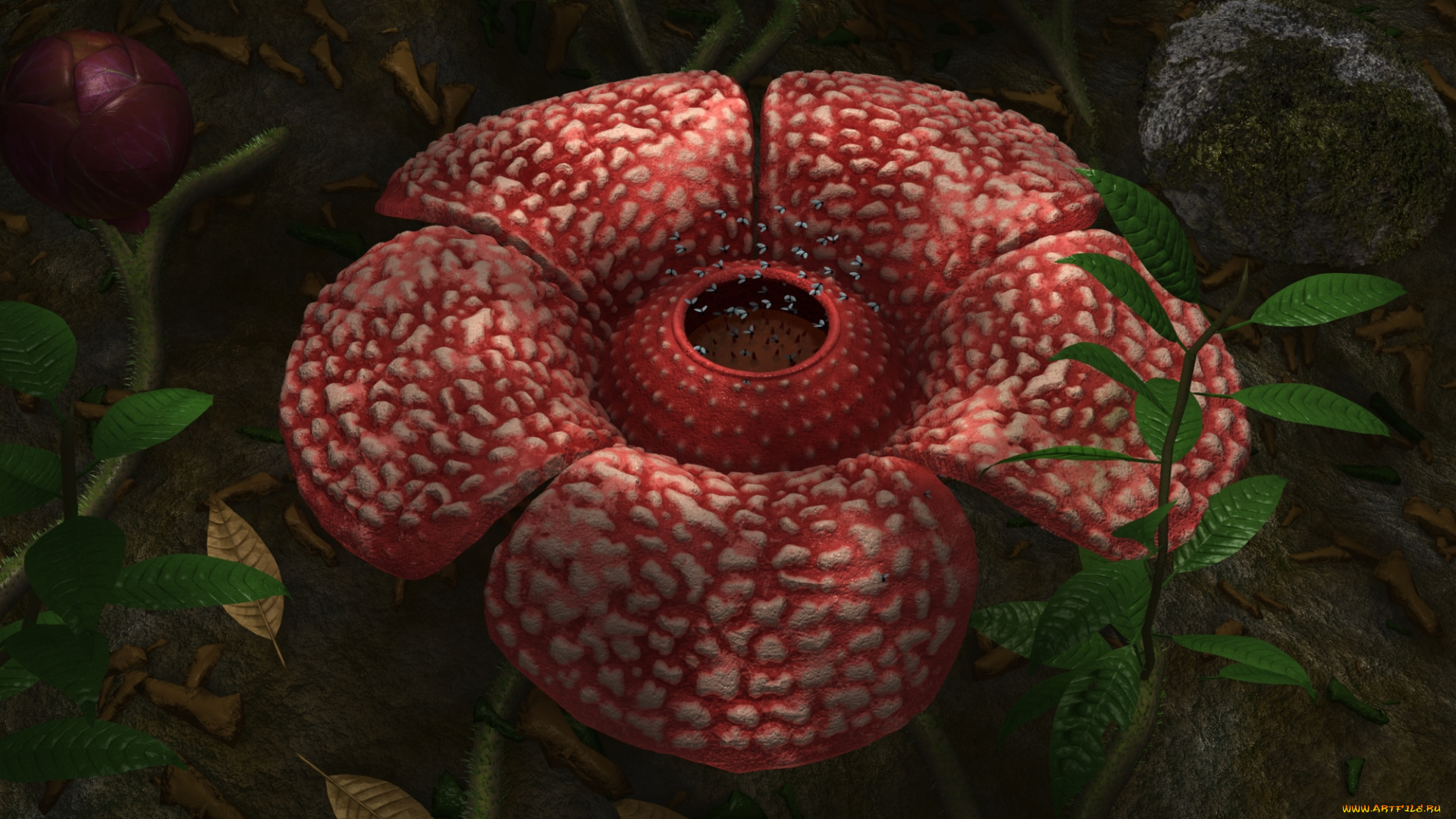 3д, графика, flowers, цветы, листья, цветок