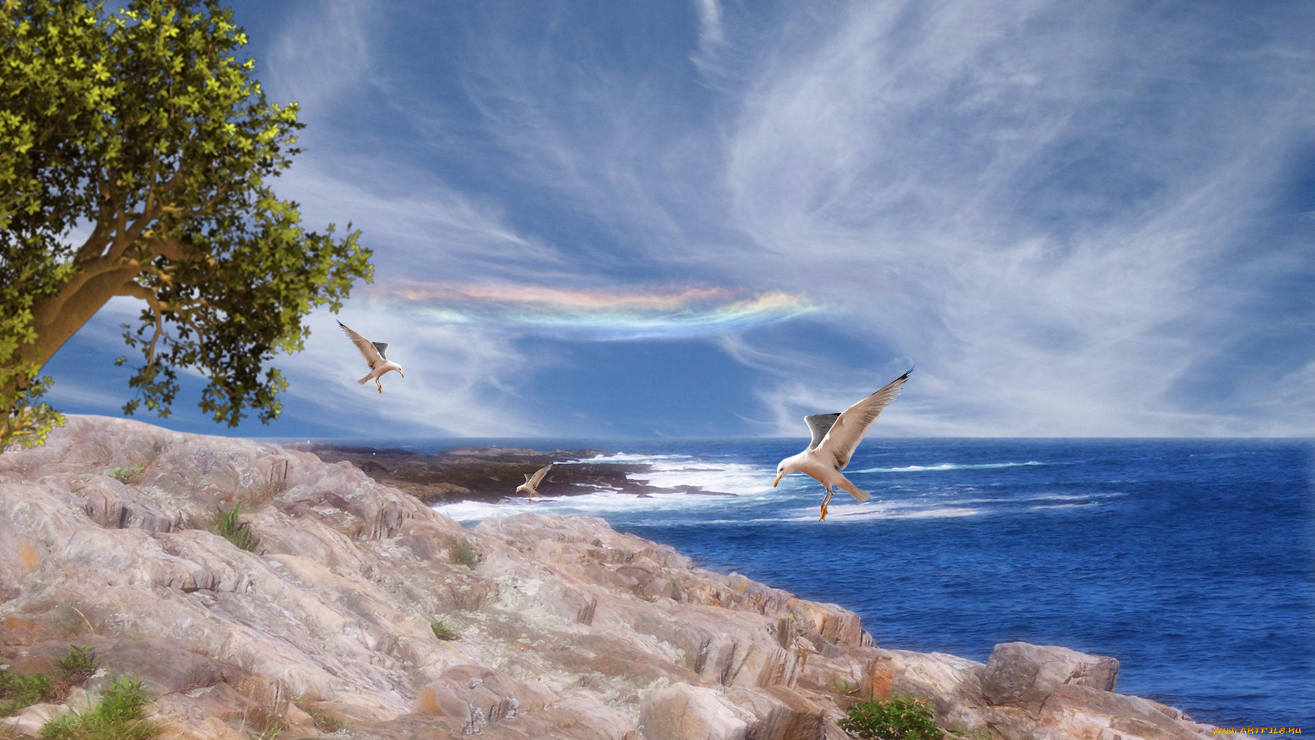 3д, графика, sea, undersea, море, чайки, деревья, скалы, океан