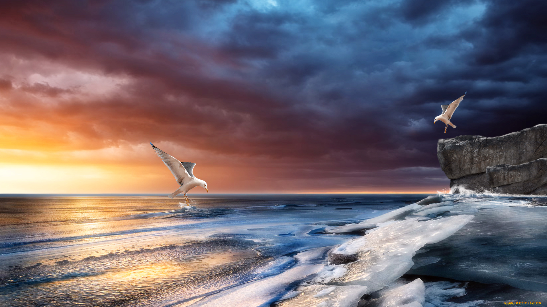 3д, графика, sea, undersea, море, скалы, океан, чайки, волны