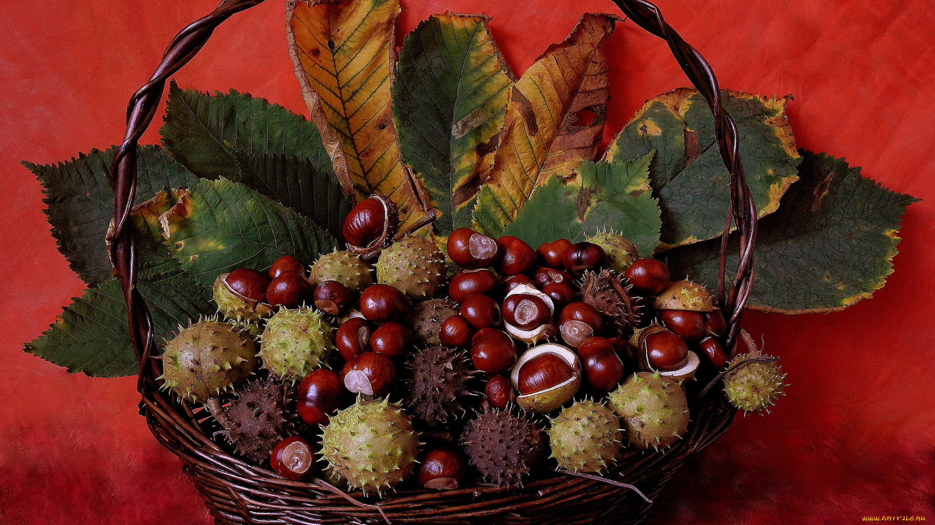 еда, орехи, каштаны, корзина