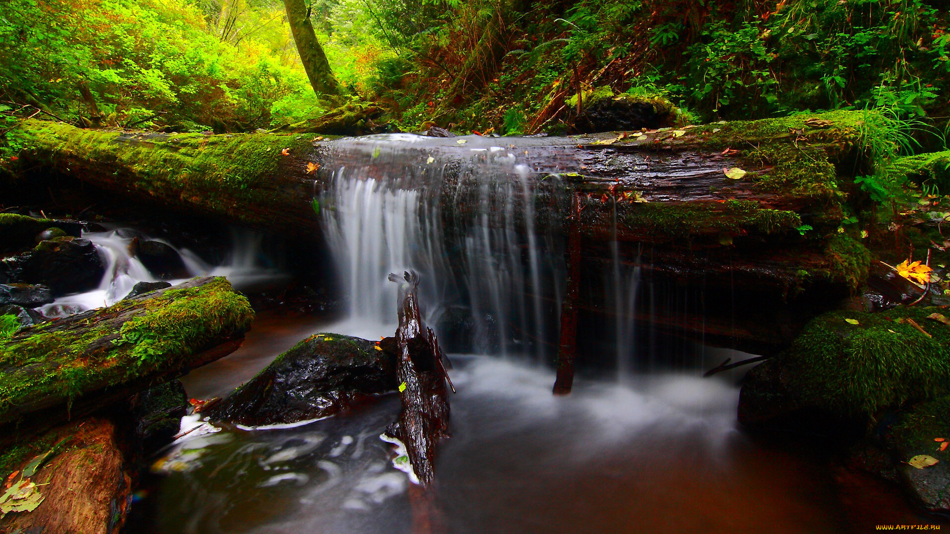 природа, водопады, лес, бревна, ручей