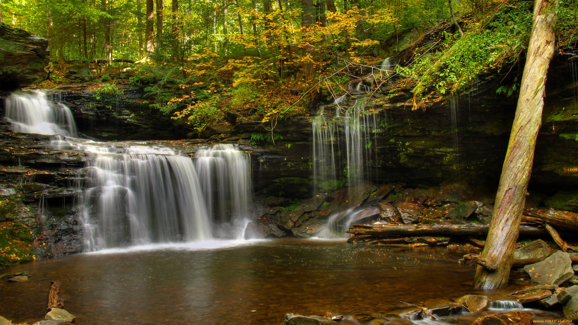 природа, водопады, лес, река