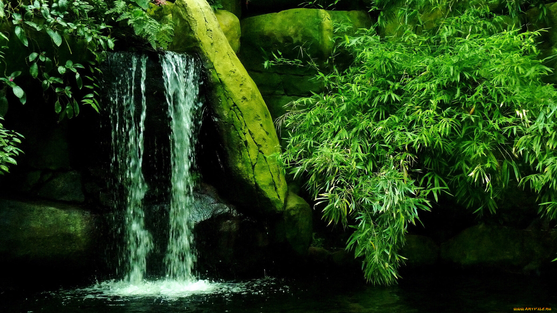 природа, водопады, лес, ручей