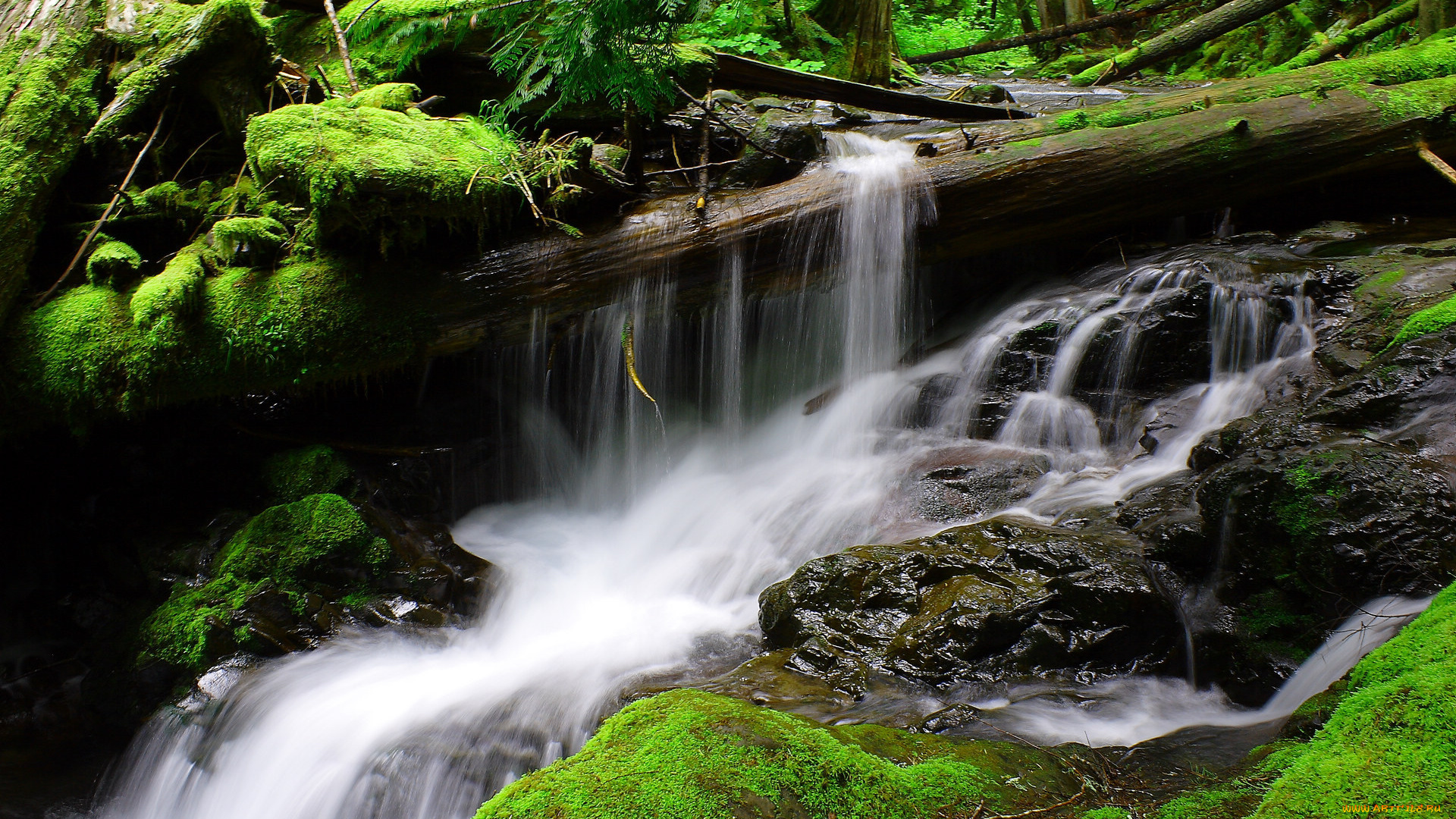 природа, водопады, мох, камни, бревна