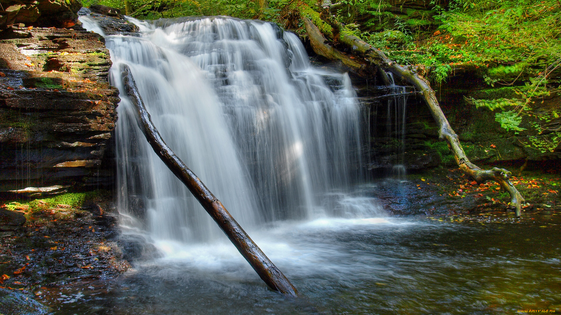 природа, водопады, вода, бревна, скала
