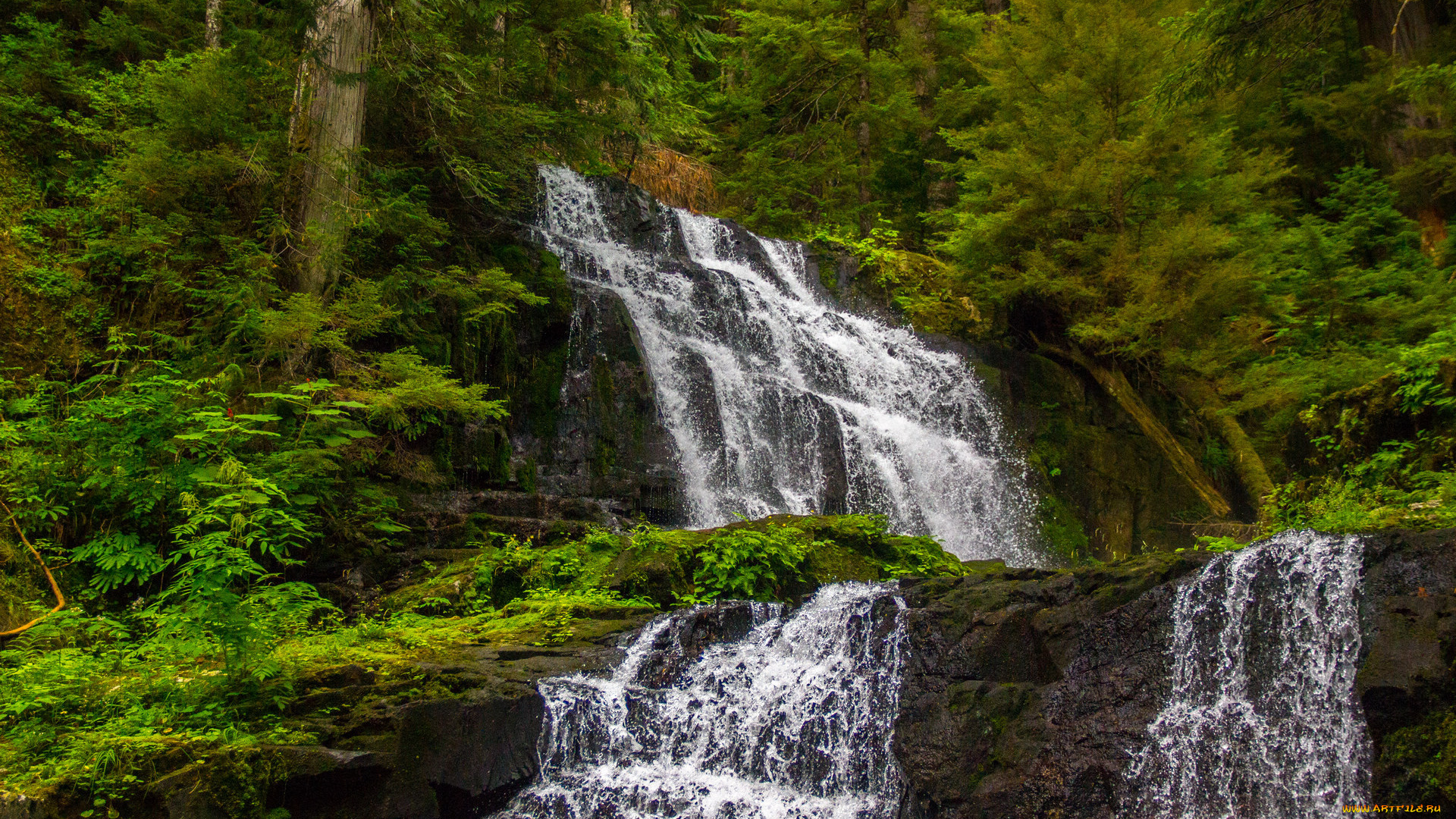 природа, водопады, вода, лес, поток