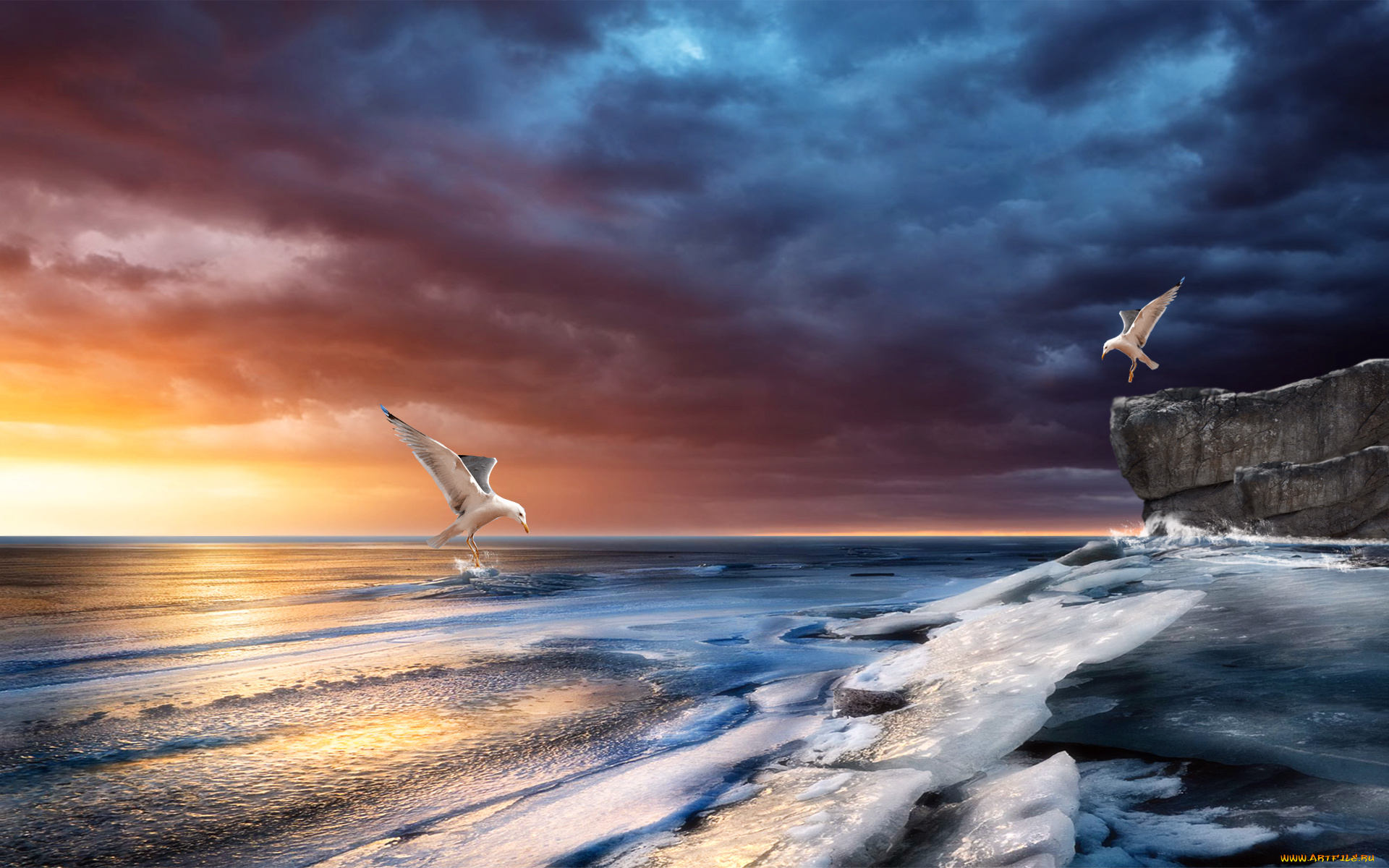 3д, графика, sea, undersea, море, скалы, океан, чайки, волны