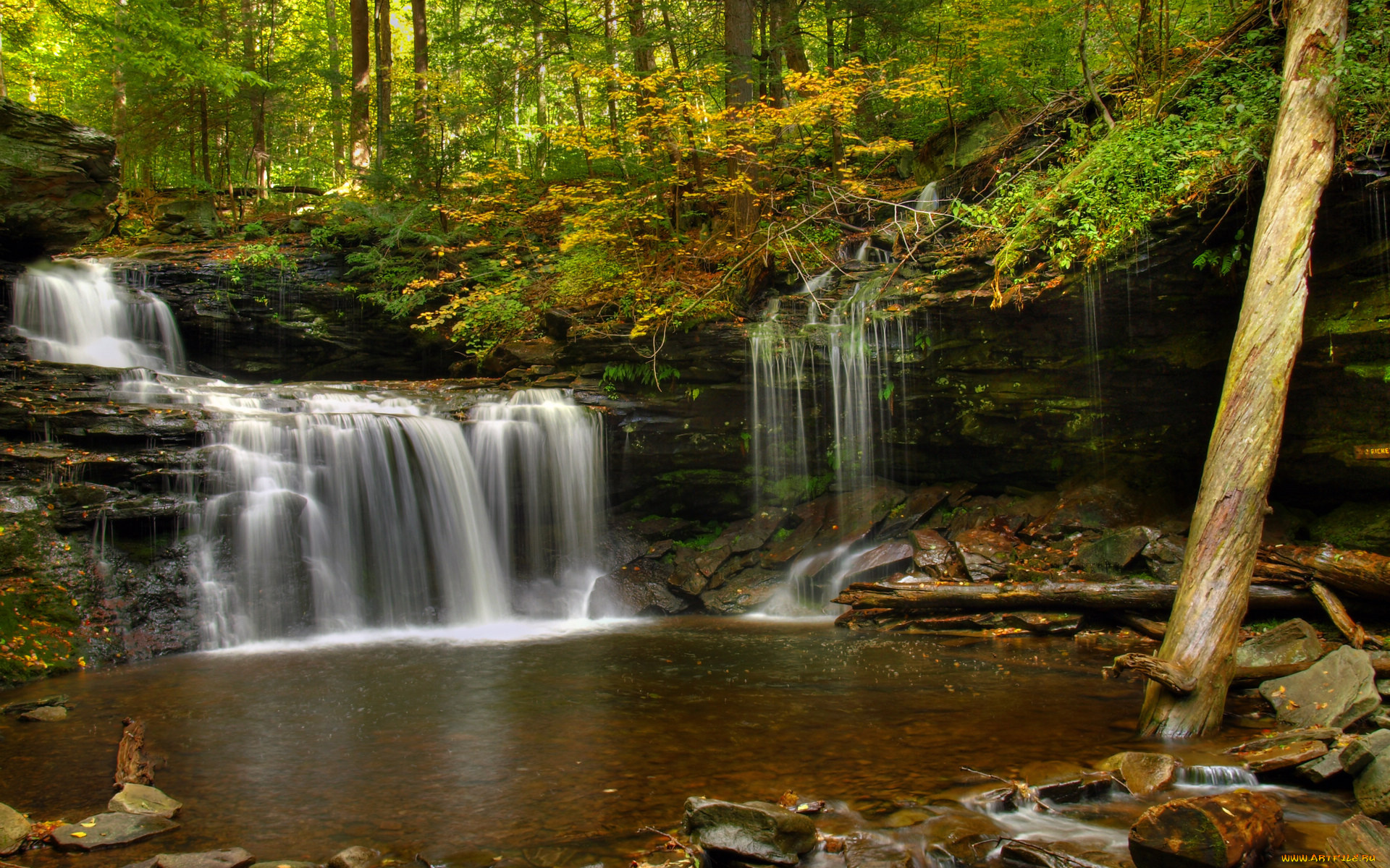природа, водопады, лес, река