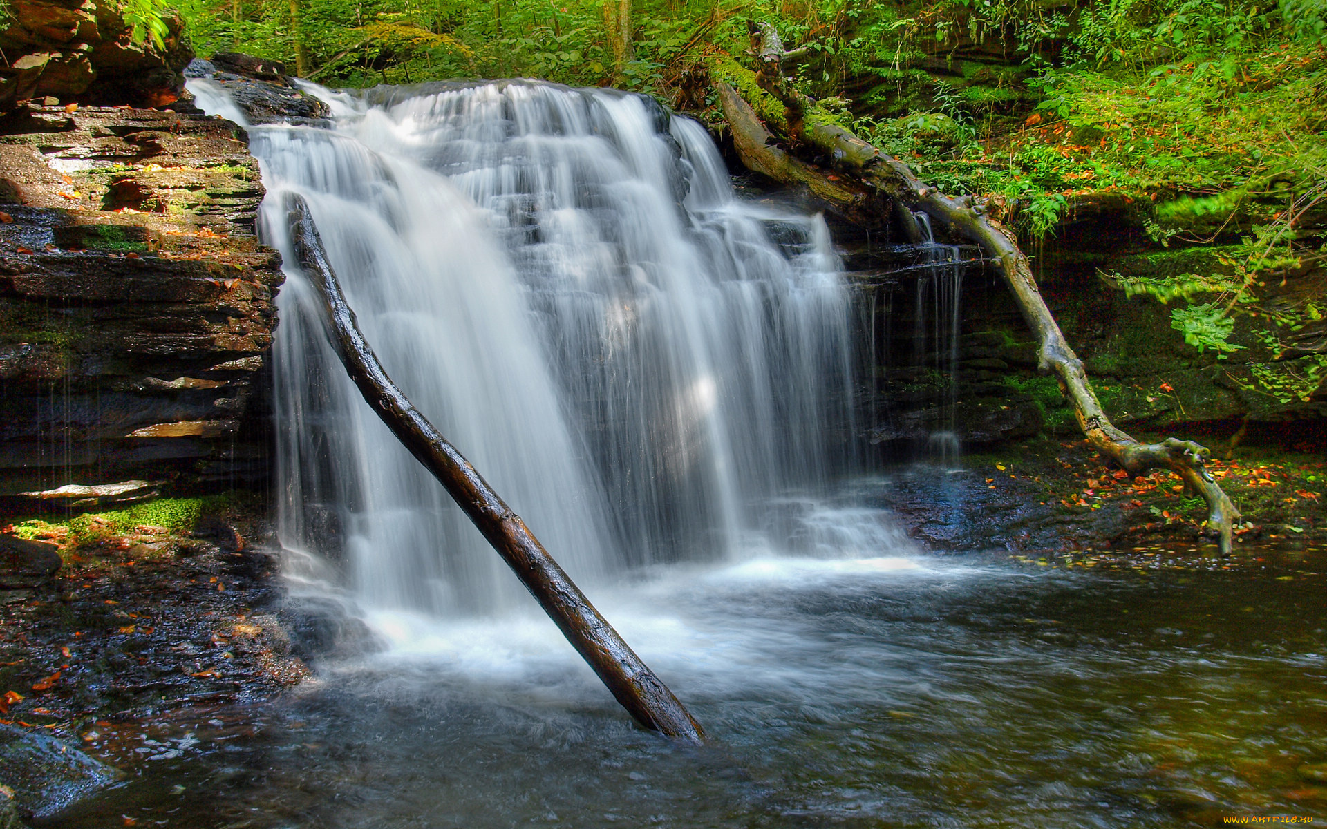 природа, водопады, вода, бревна, скала