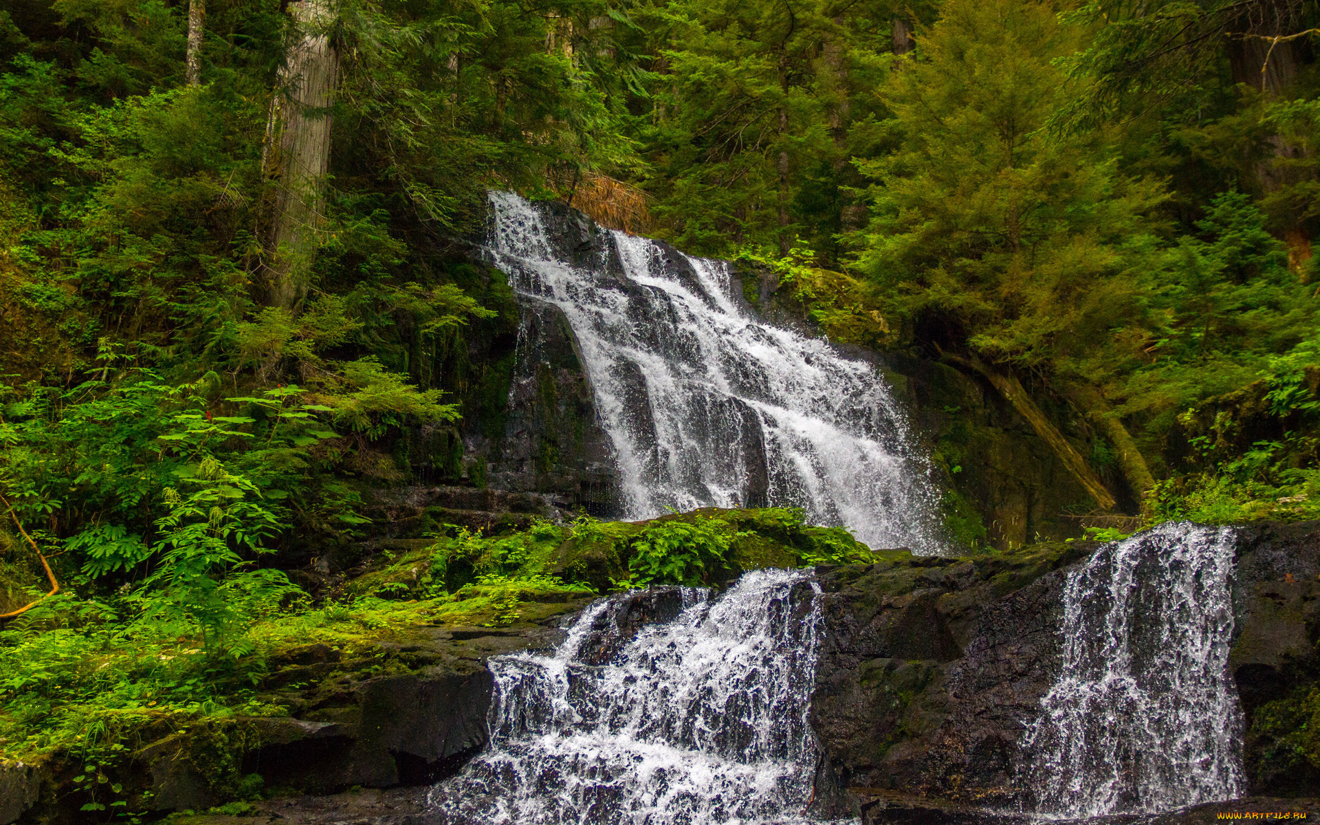 природа, водопады, вода, лес, поток