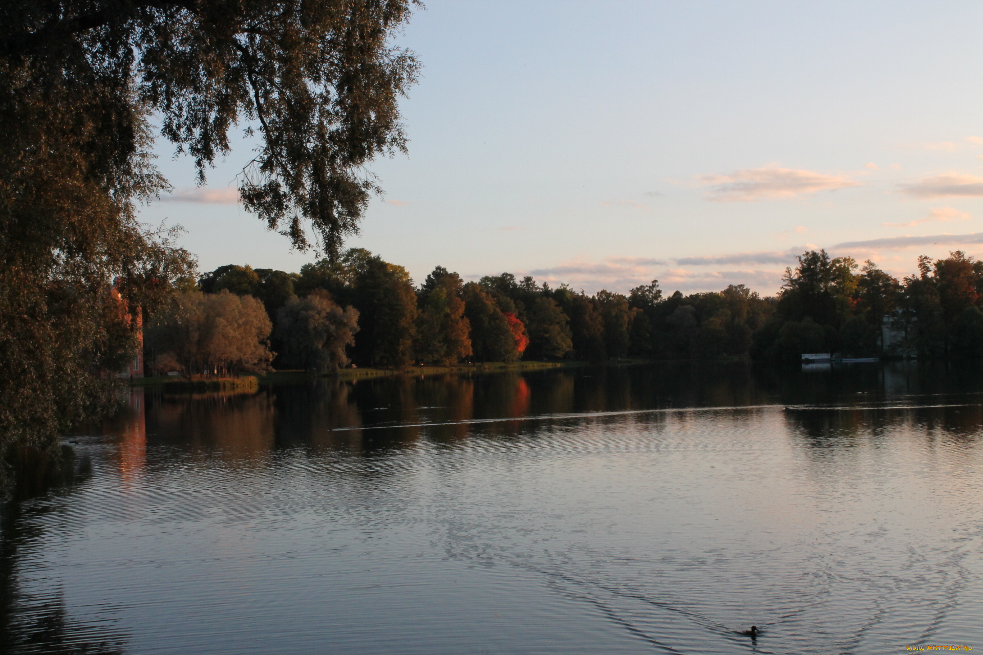 природа, реки, озера, дворцы, парки, история