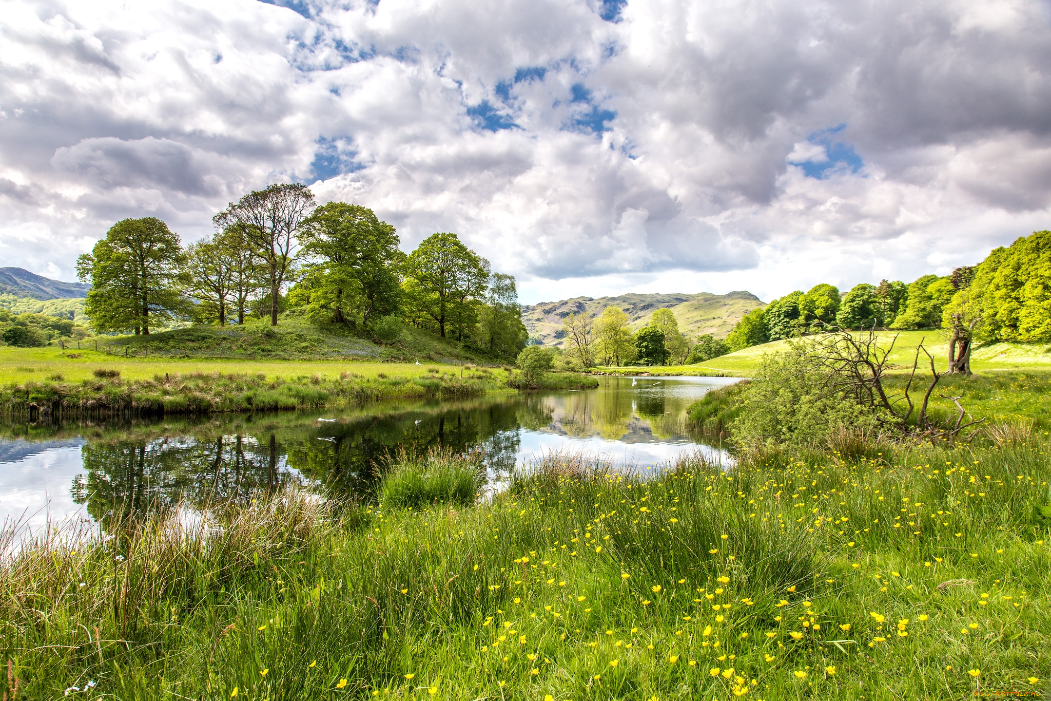 природа, реки, озера, вода, деревья, луг, трава
