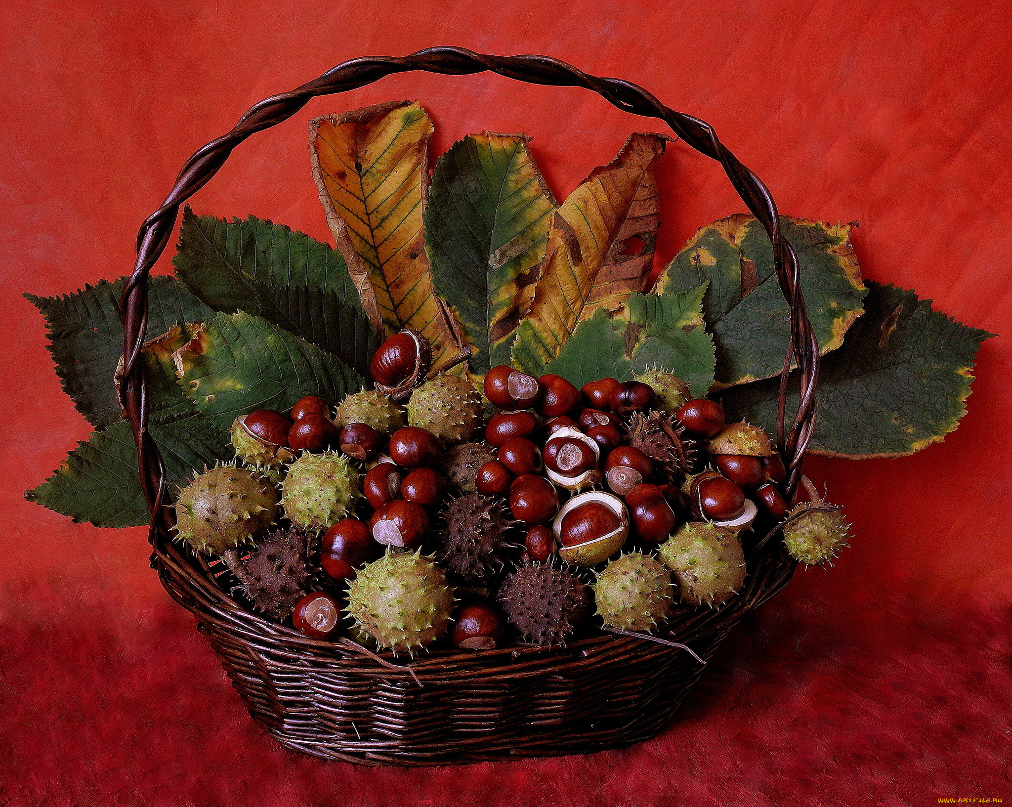 еда, орехи, каштаны, корзина