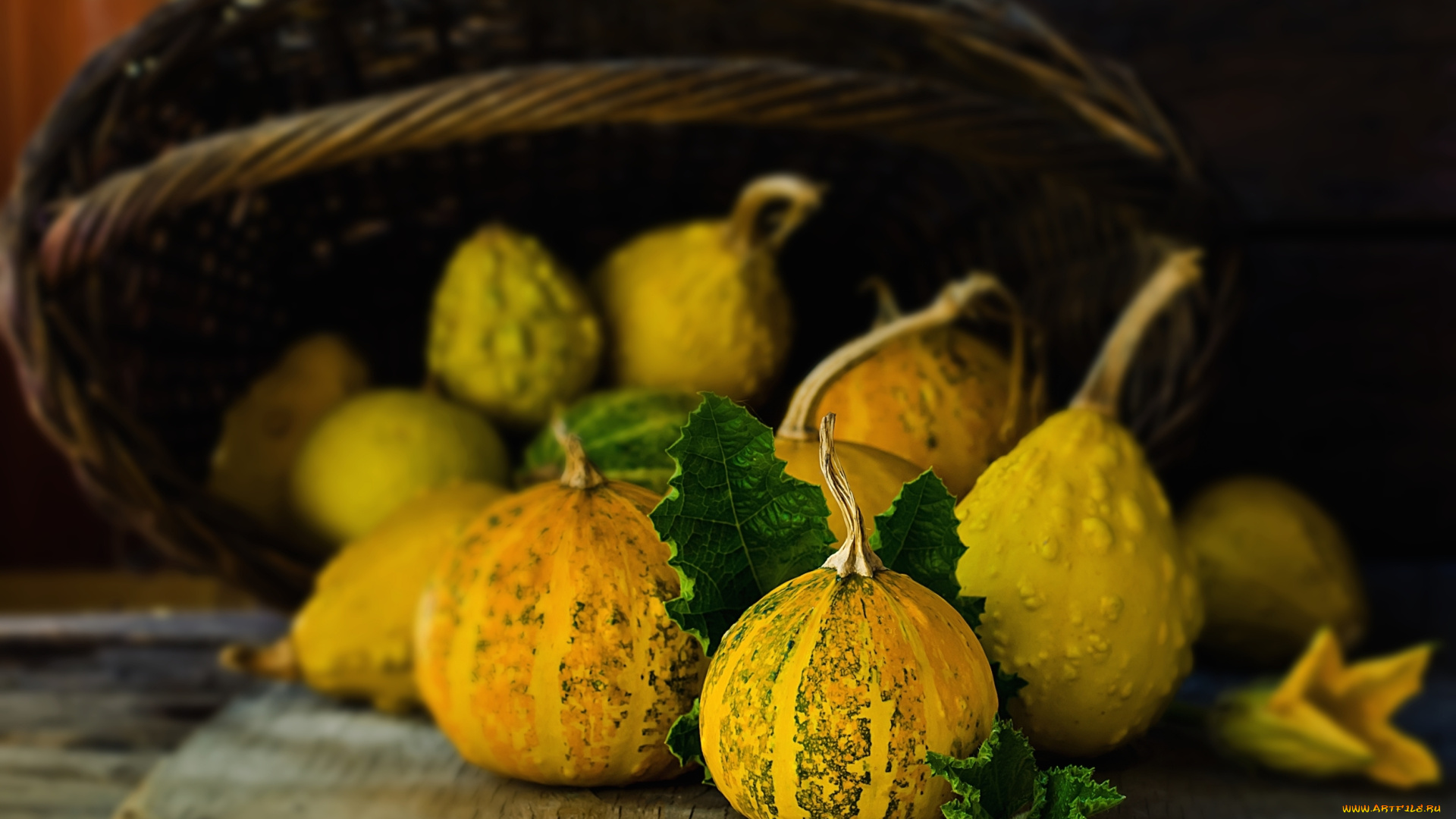 еда, тыква, овощи, натюрморт, тыковки