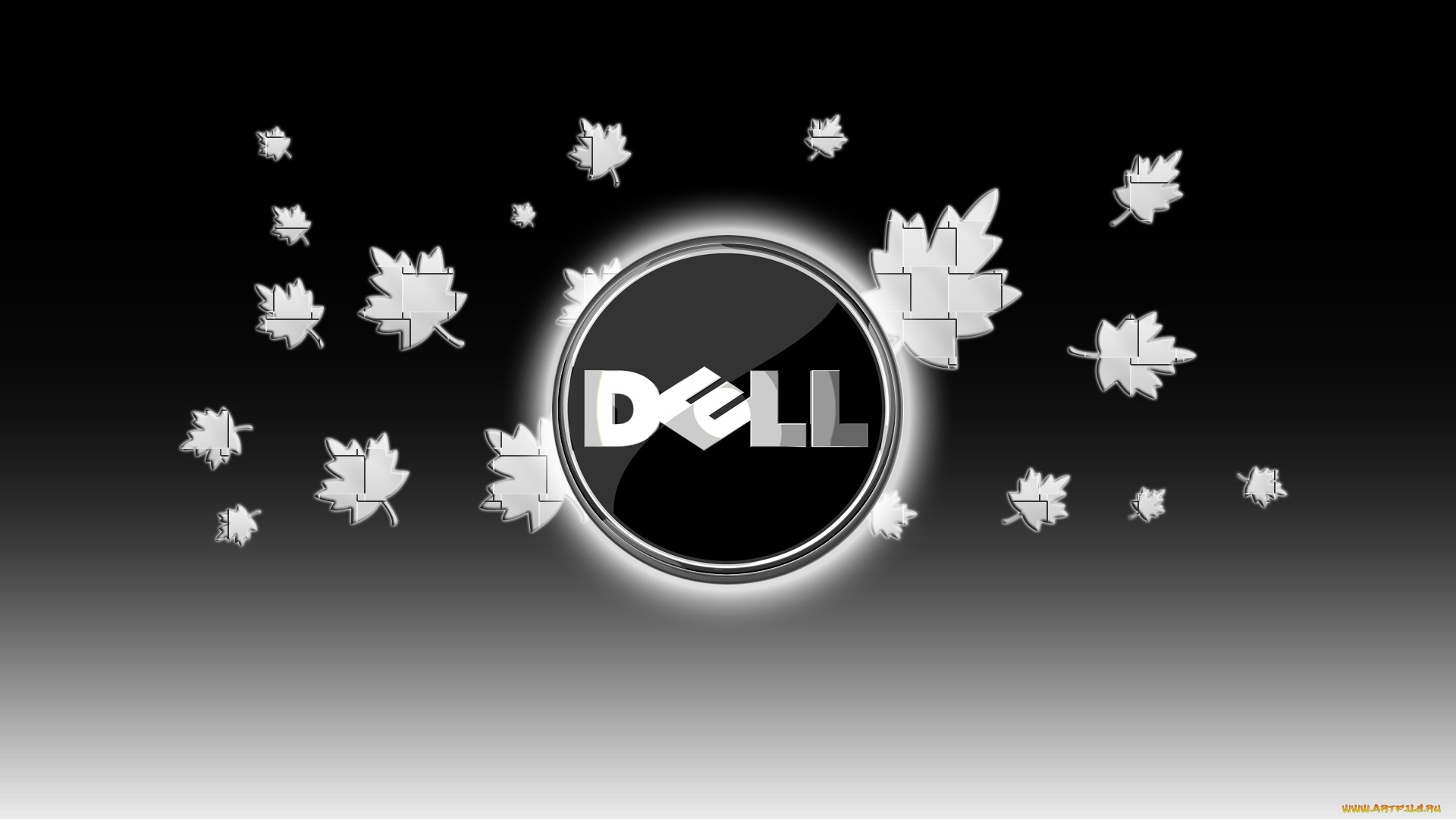 компьютеры, dell, фон, логотип
