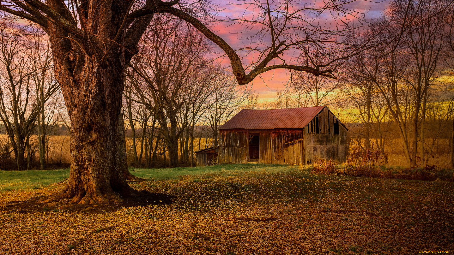 разное, развалины, , руины, , металлолом, дерево, деревья, утро, заброшенный, дом