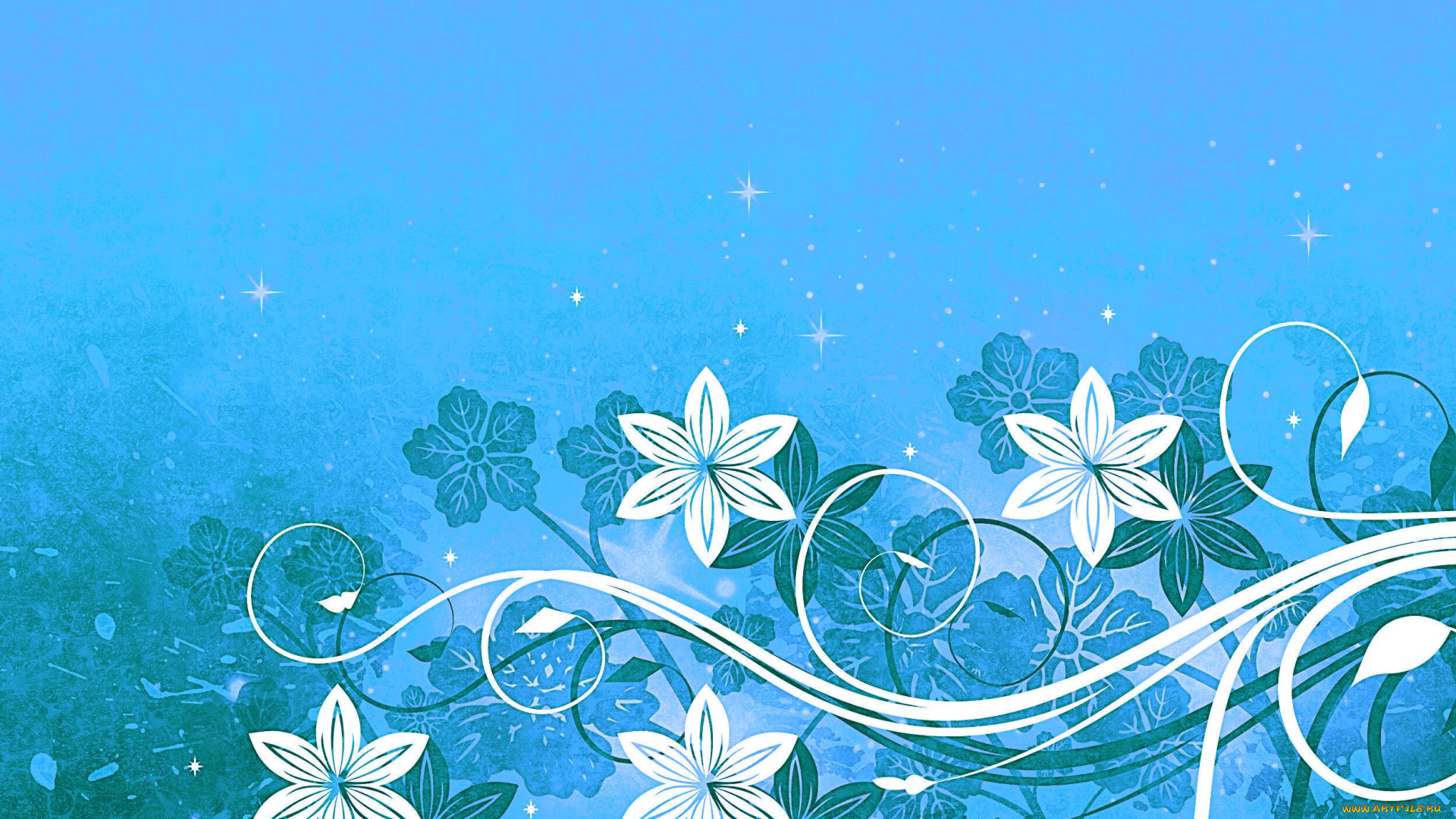 векторная, графика, цветы, фон