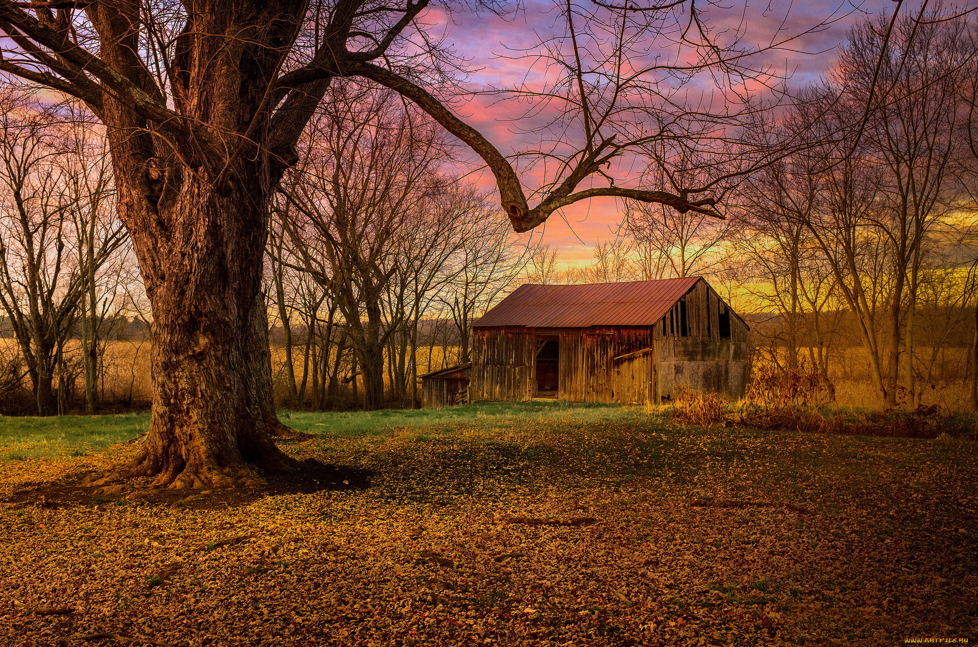 разное, развалины, , руины, , металлолом, дерево, деревья, утро, заброшенный, дом