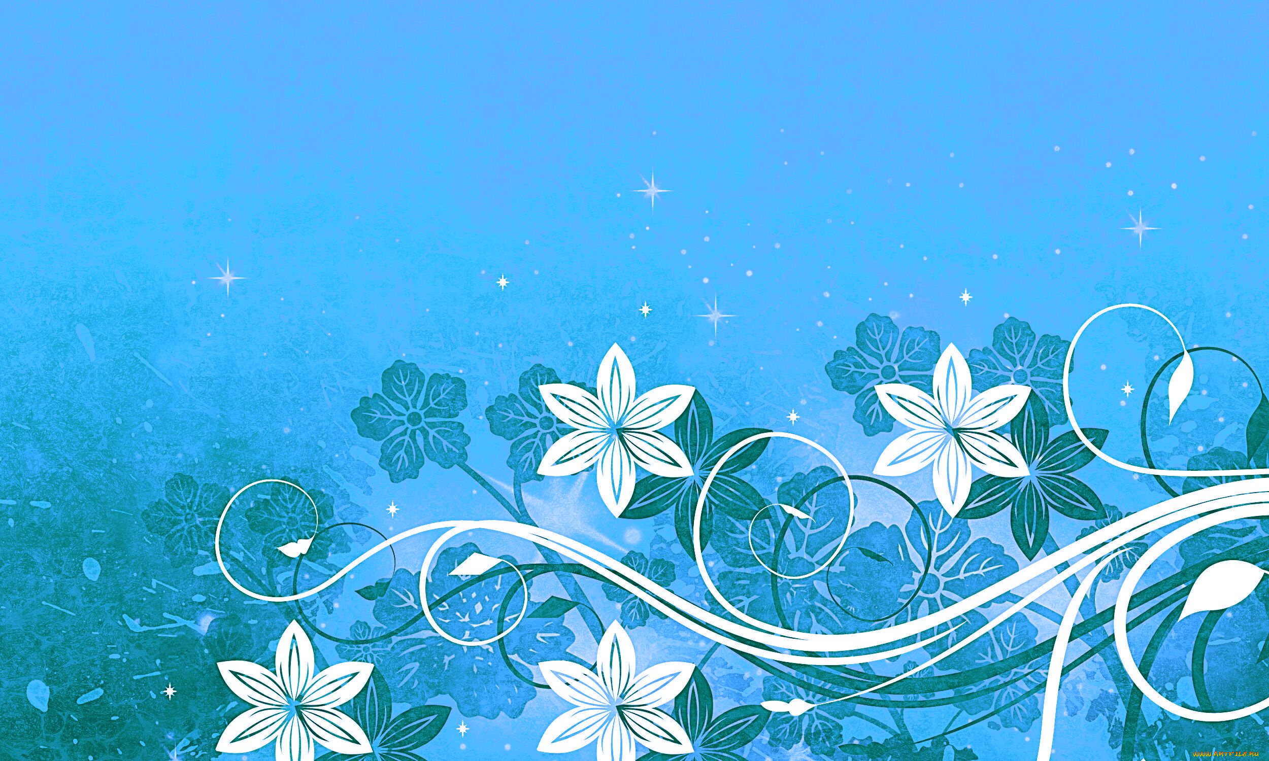 векторная, графика, цветы, фон