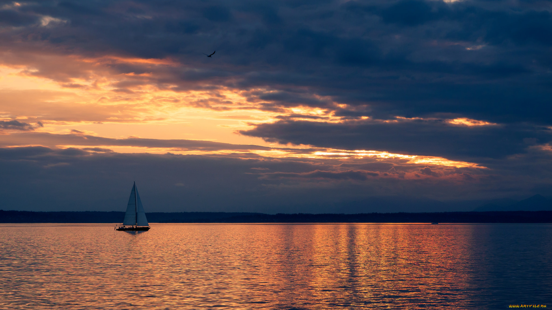 корабли, Яхты, море, закат, парус