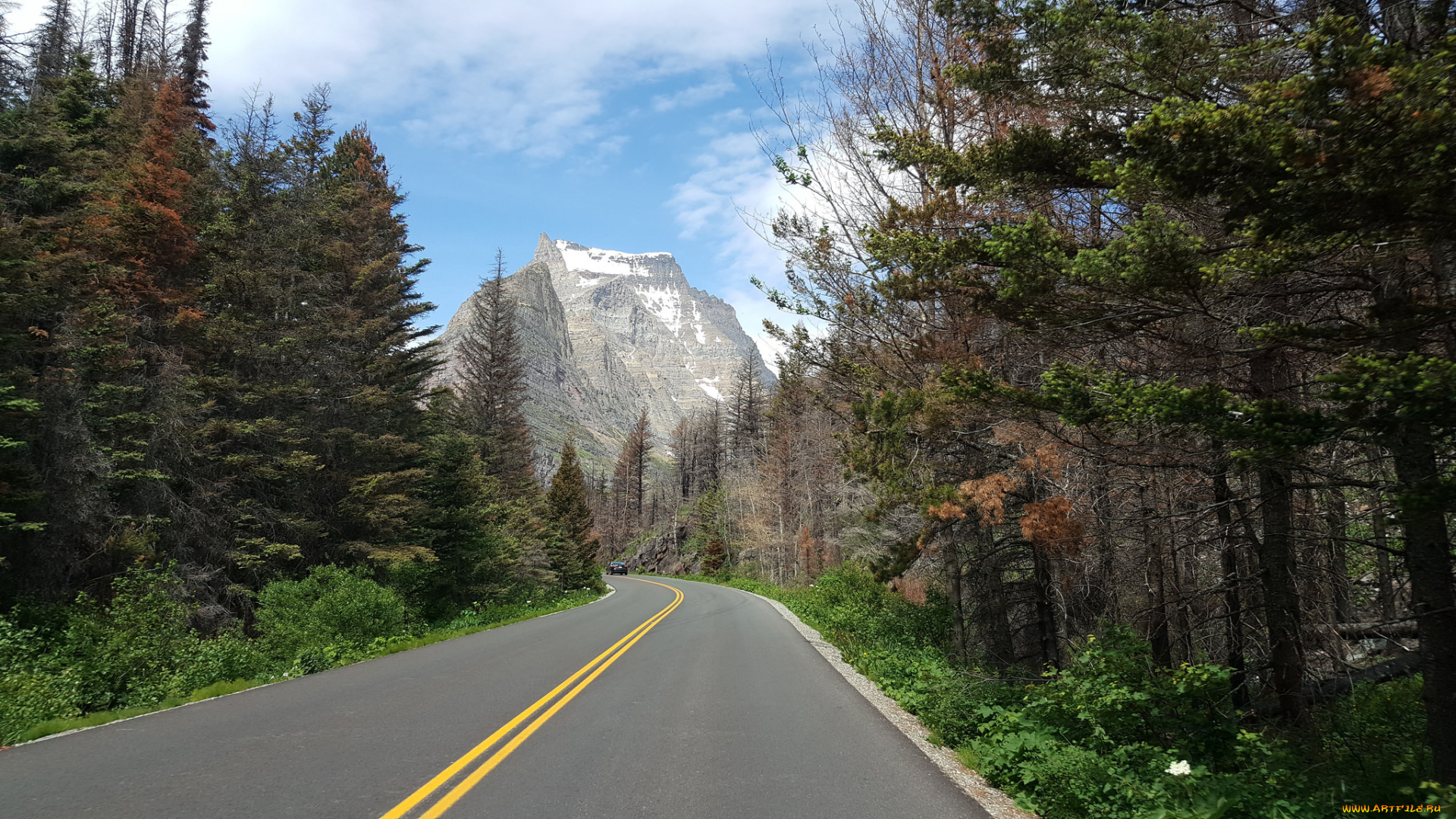 природа, дороги, тракт