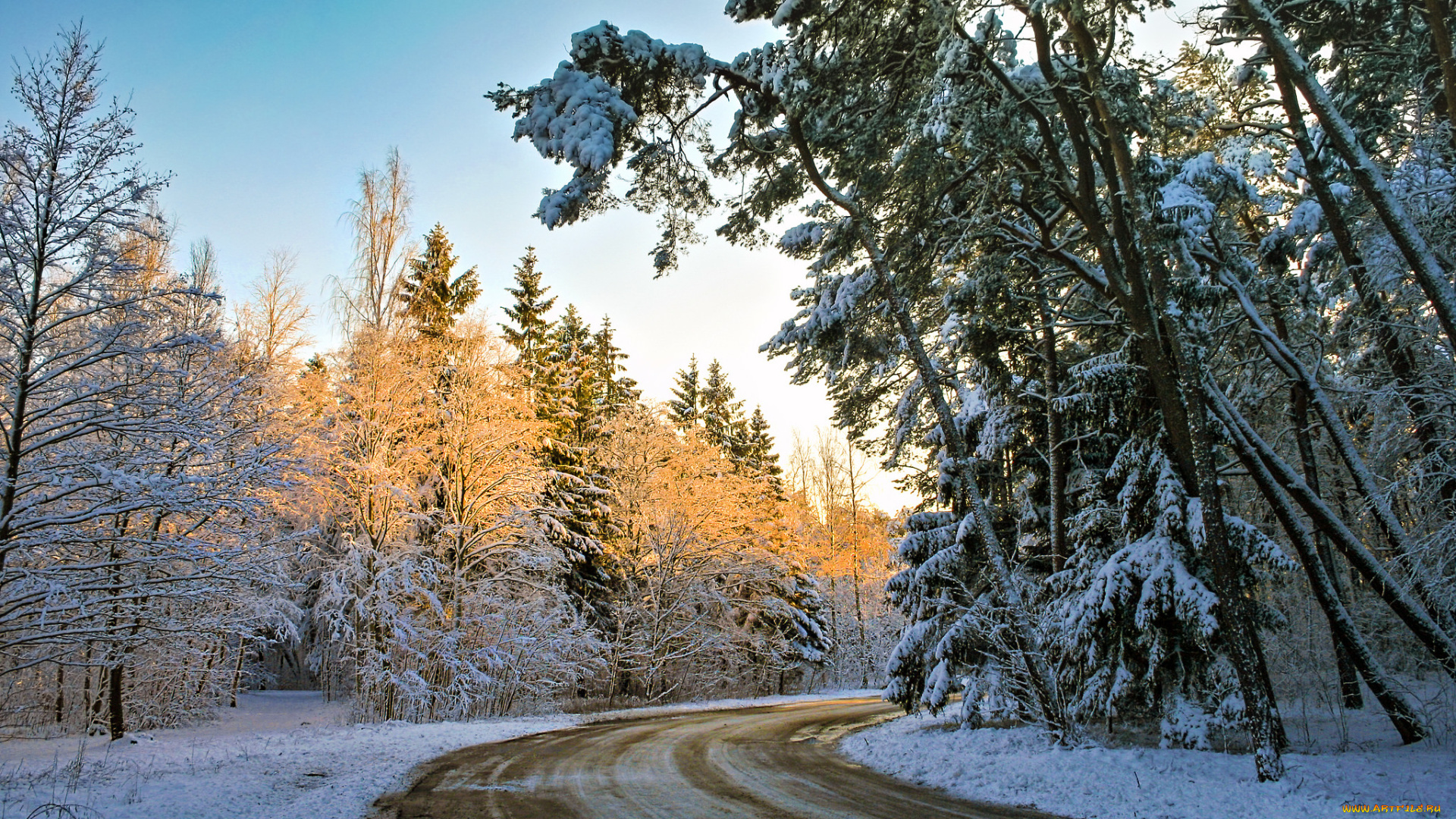 природа, дороги, тракт