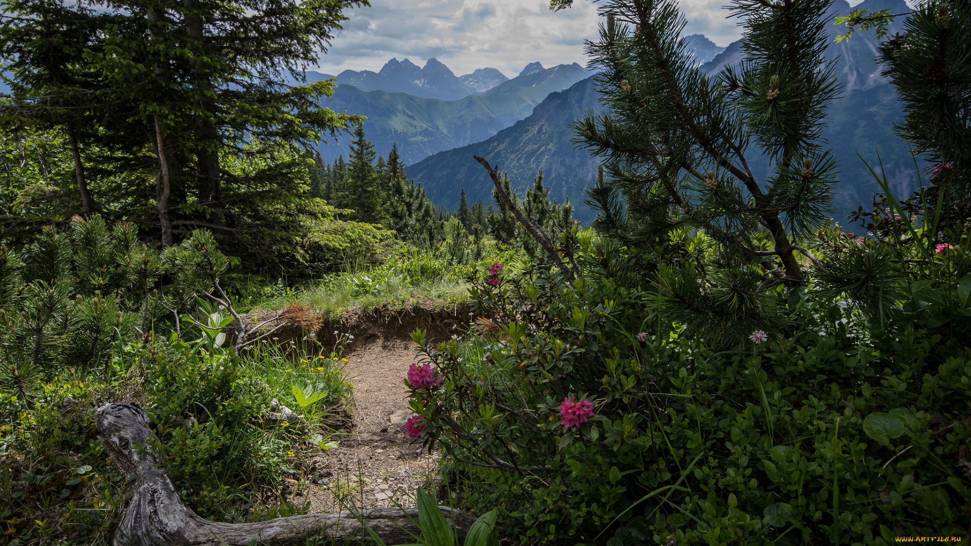 природа, горы, скалы