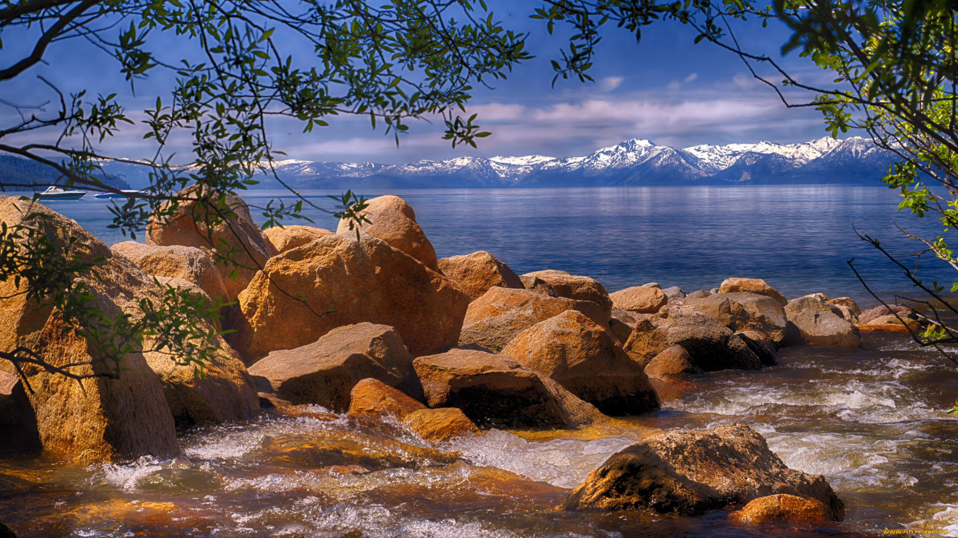 природа, побережье, море, берег