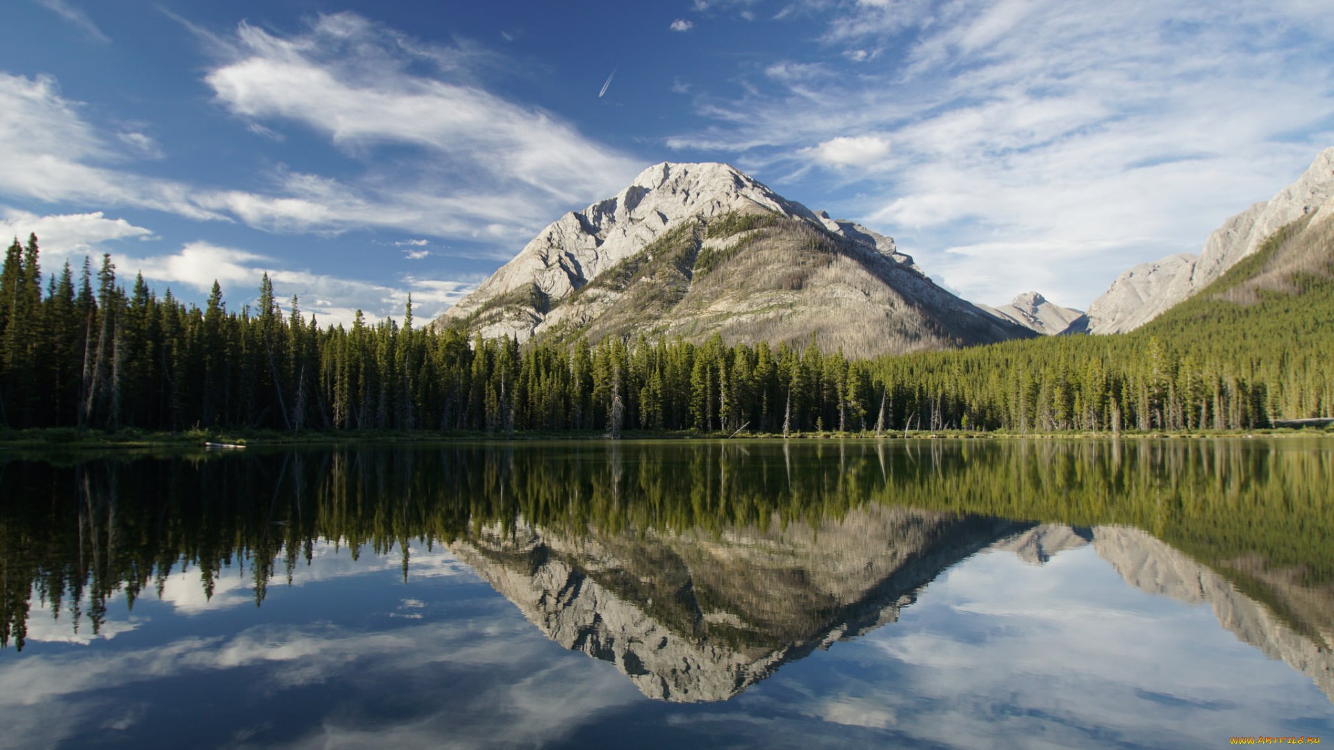 природа, реки, озера, лес, река