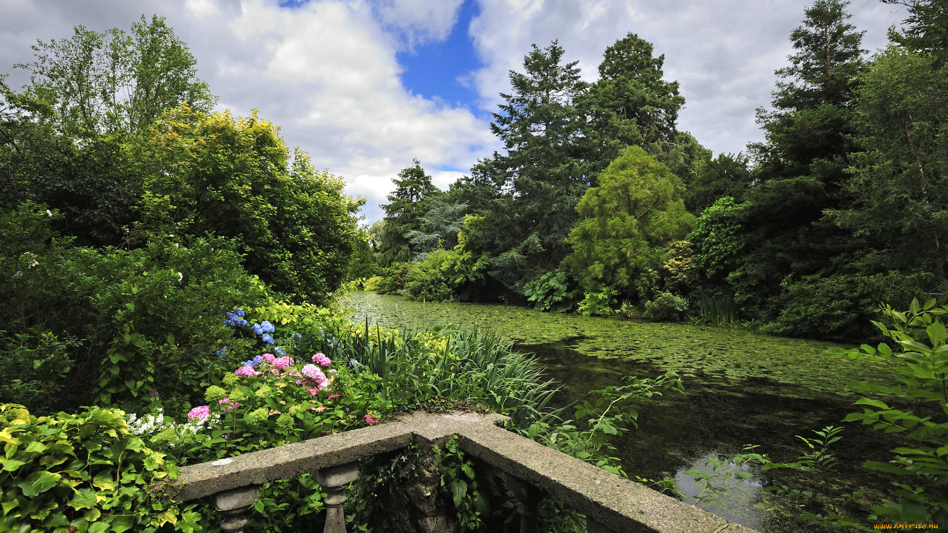 природа, реки, озера, река, лес