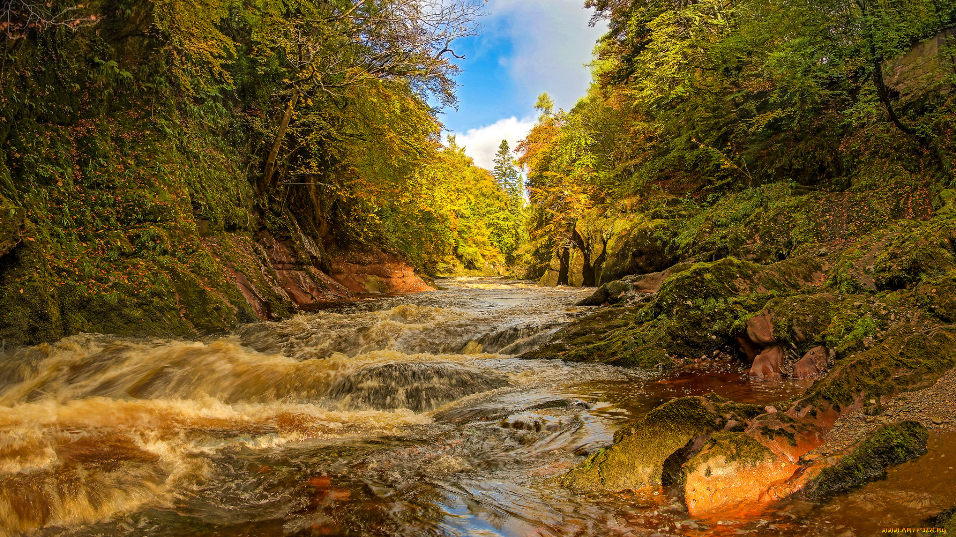 природа, реки, озера, река, лес