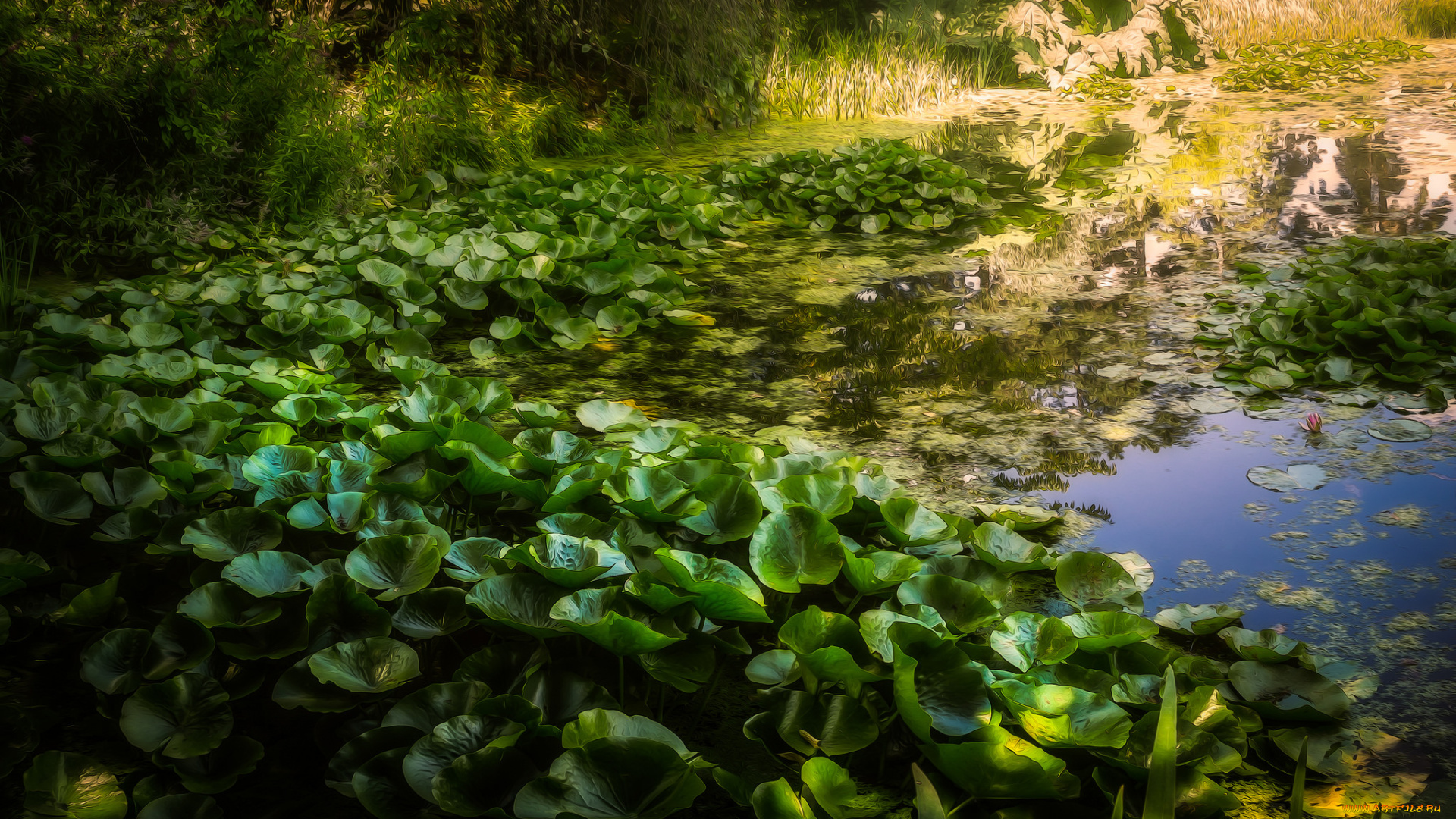 природа, реки, озера, река, лес