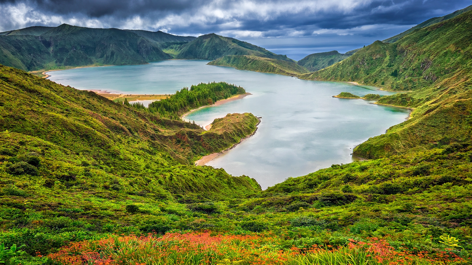 природа, реки, озера, река, лес