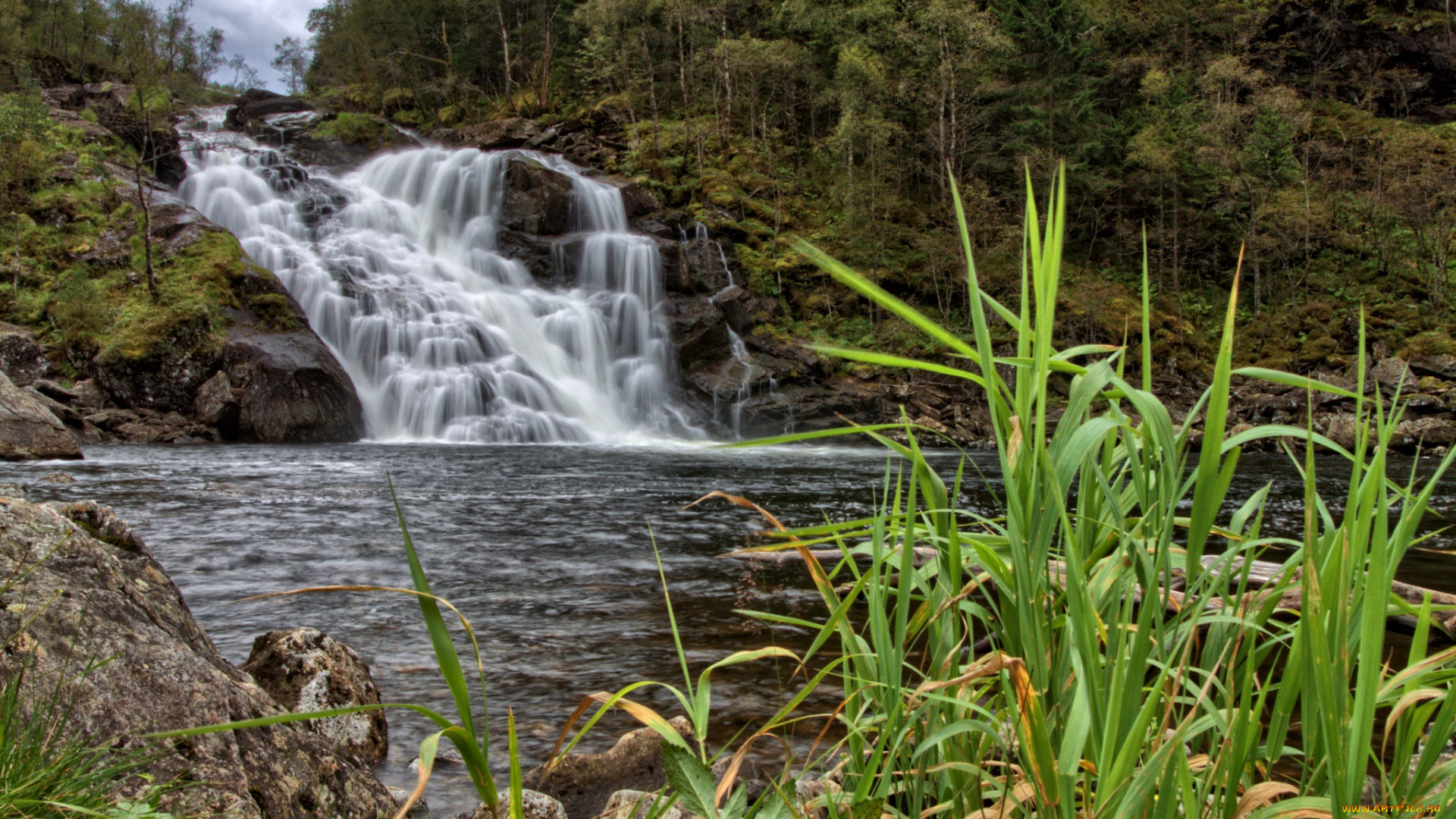 природа, водопады, лес, река, водопад