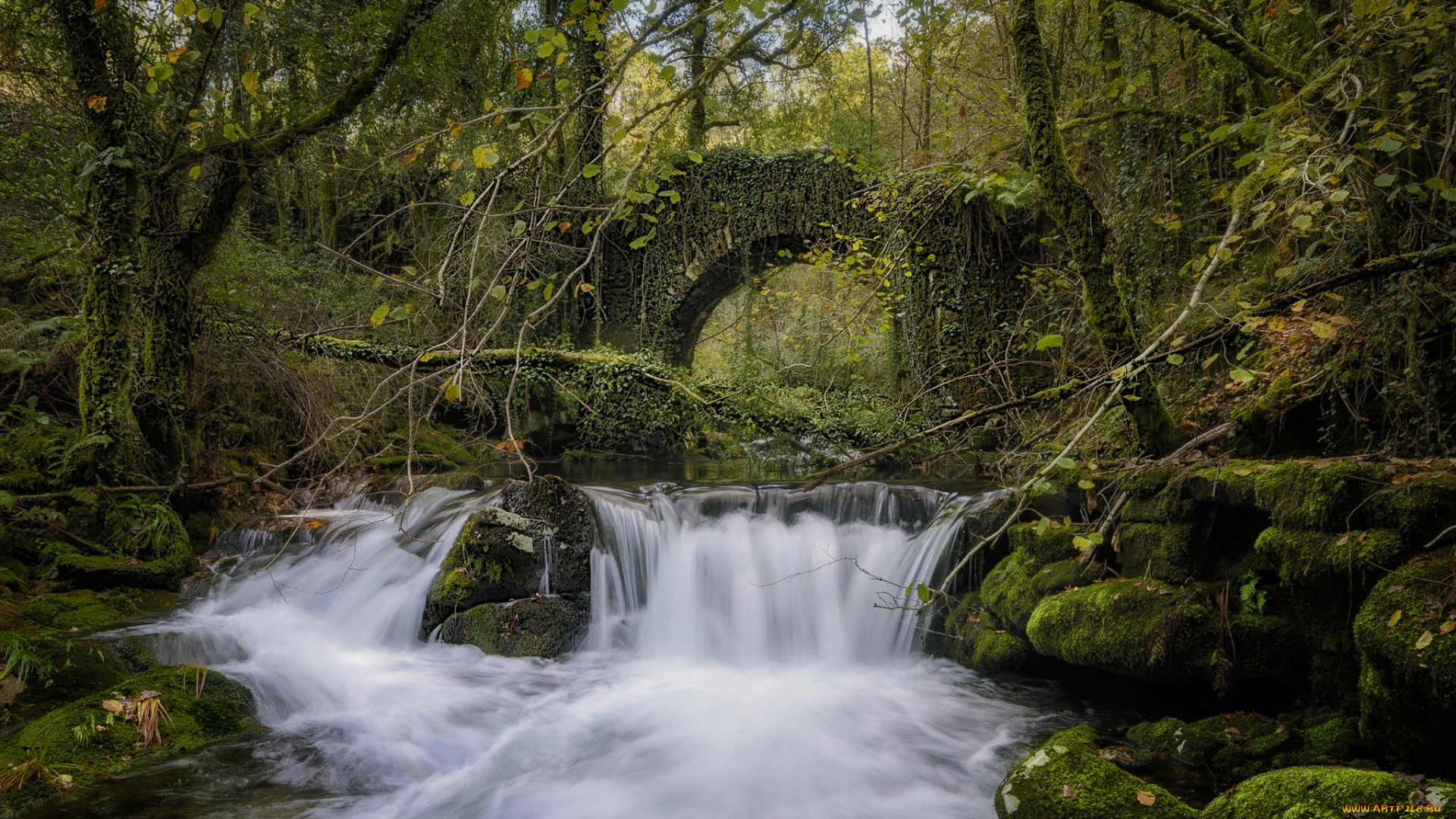 природа, водопады, река, лес, водопад