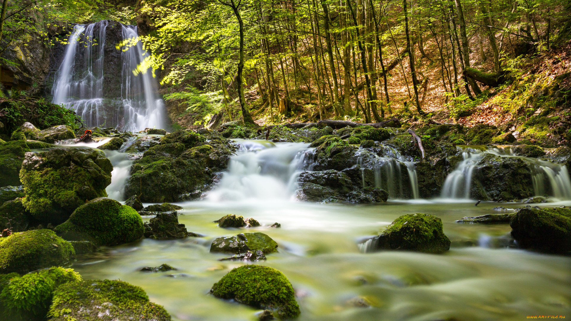 природа, водопады, водопад, лес, река
