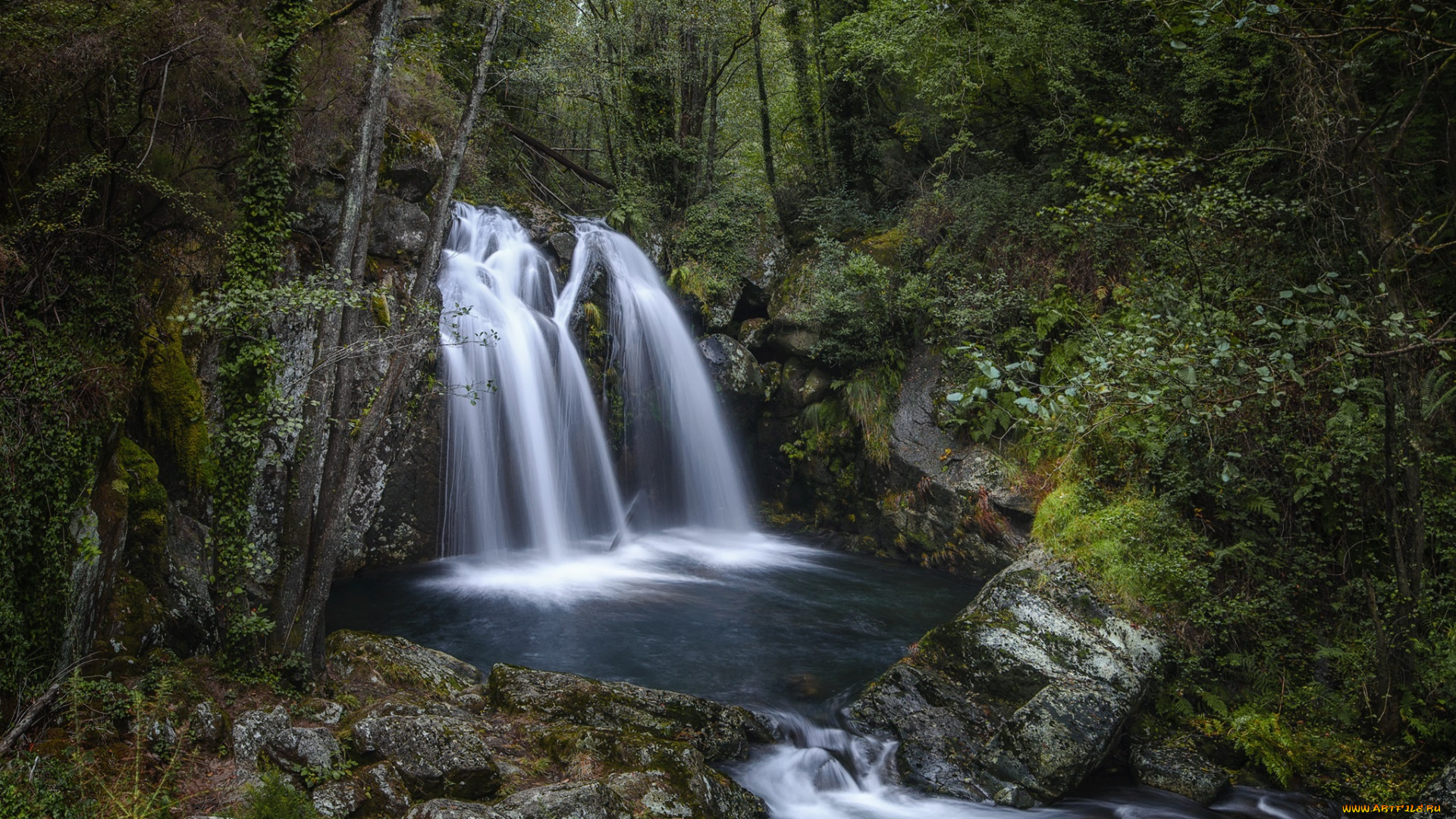 природа, водопады, водопад, река, лес